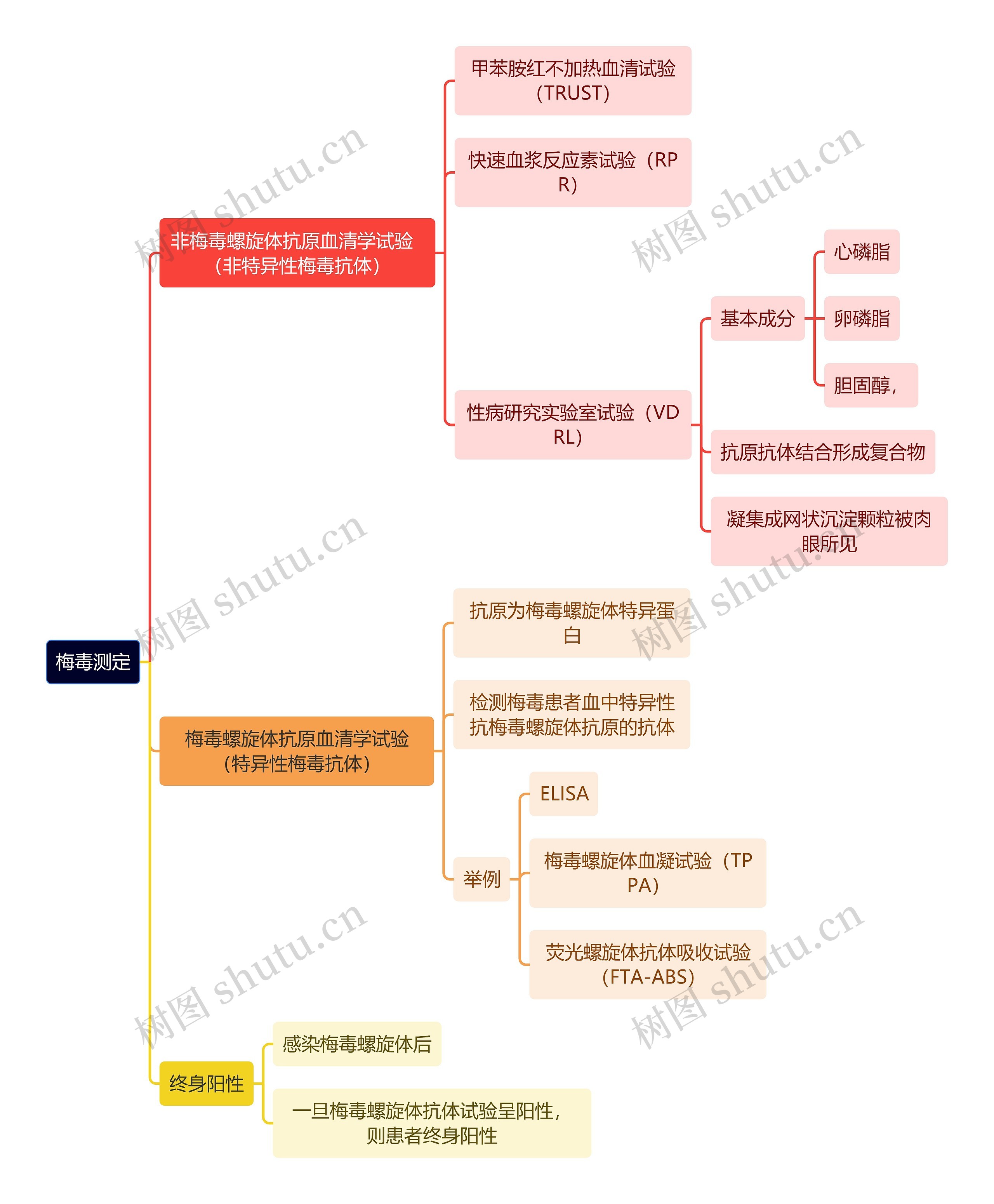 医学知识梅毒测定思维导图