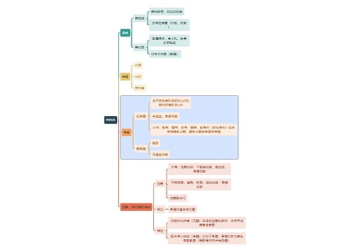 骨学知识骨构造思维导图