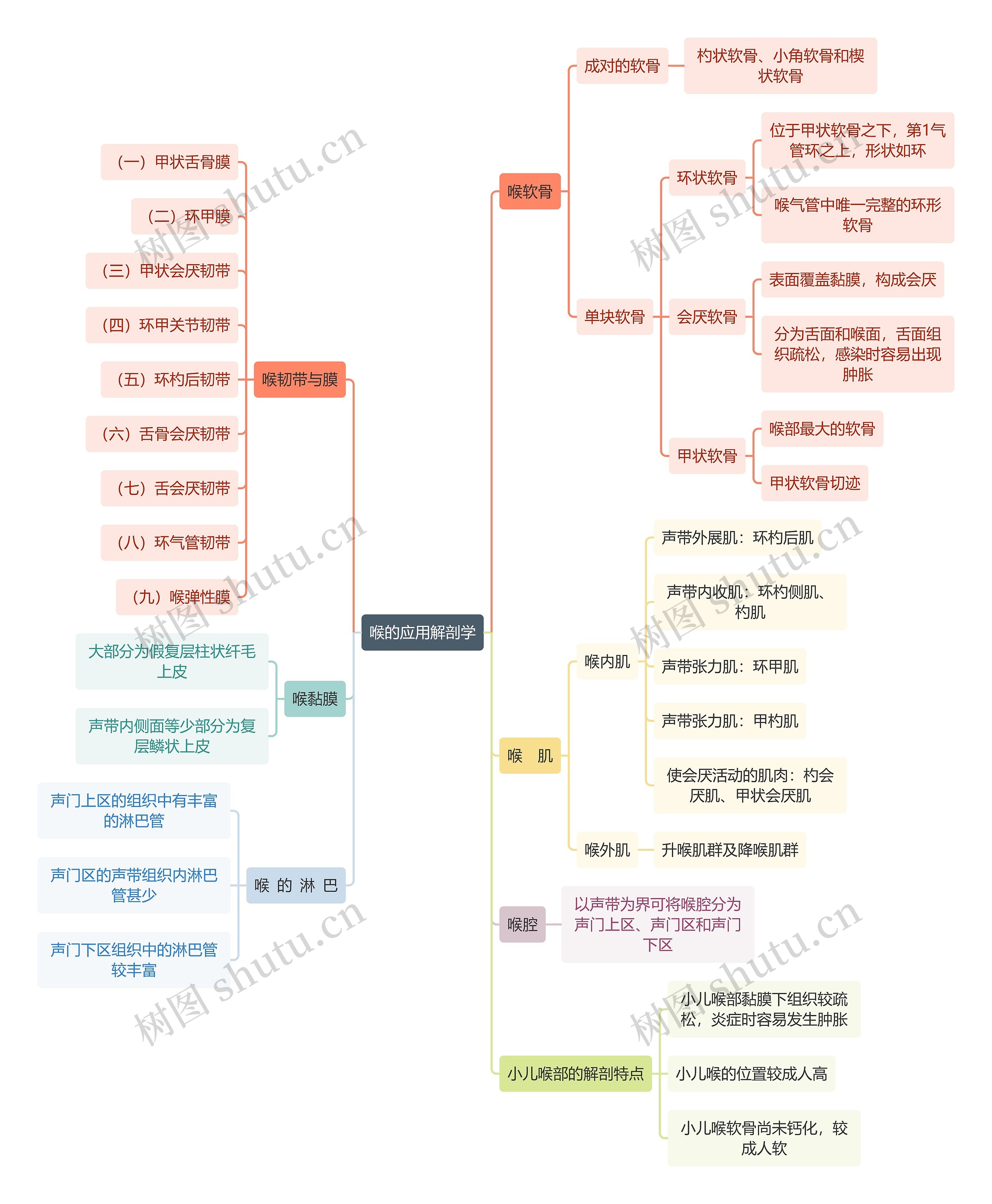 医学知识喉的应用解剖学思维导图