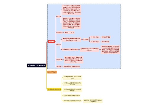 医学知识氧化磷酸化与ATP的生成思维导图