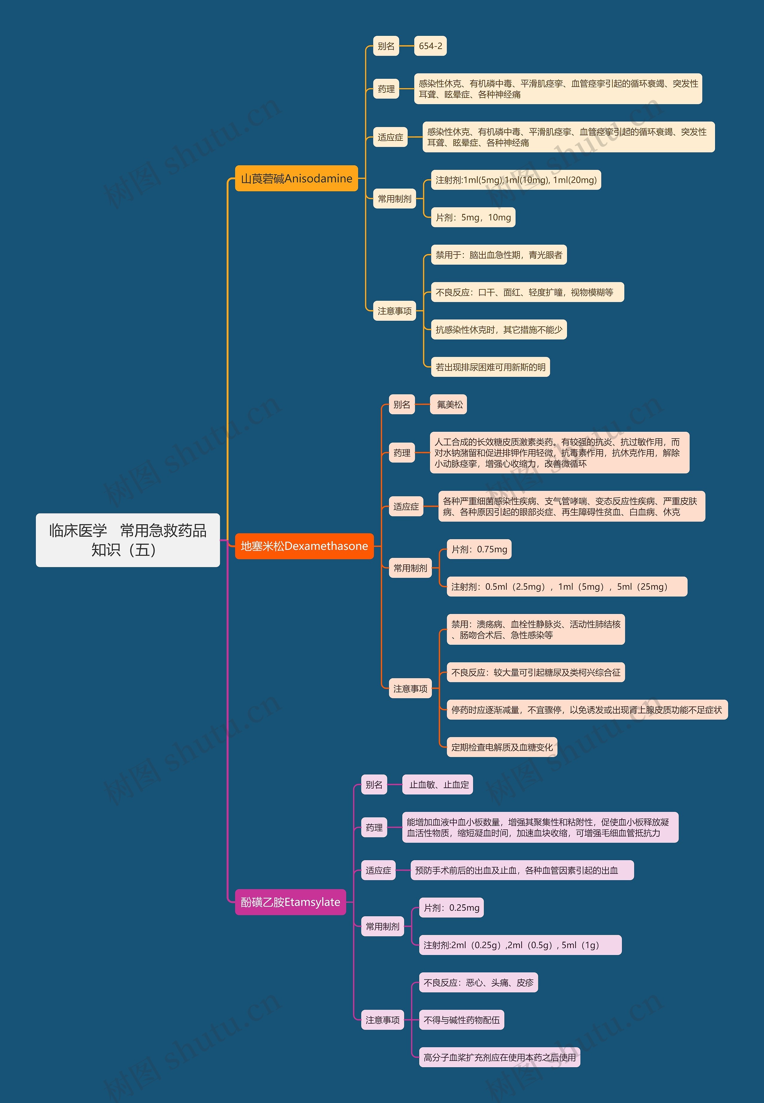 临床医学   常用急救药品知识（五）思维导图