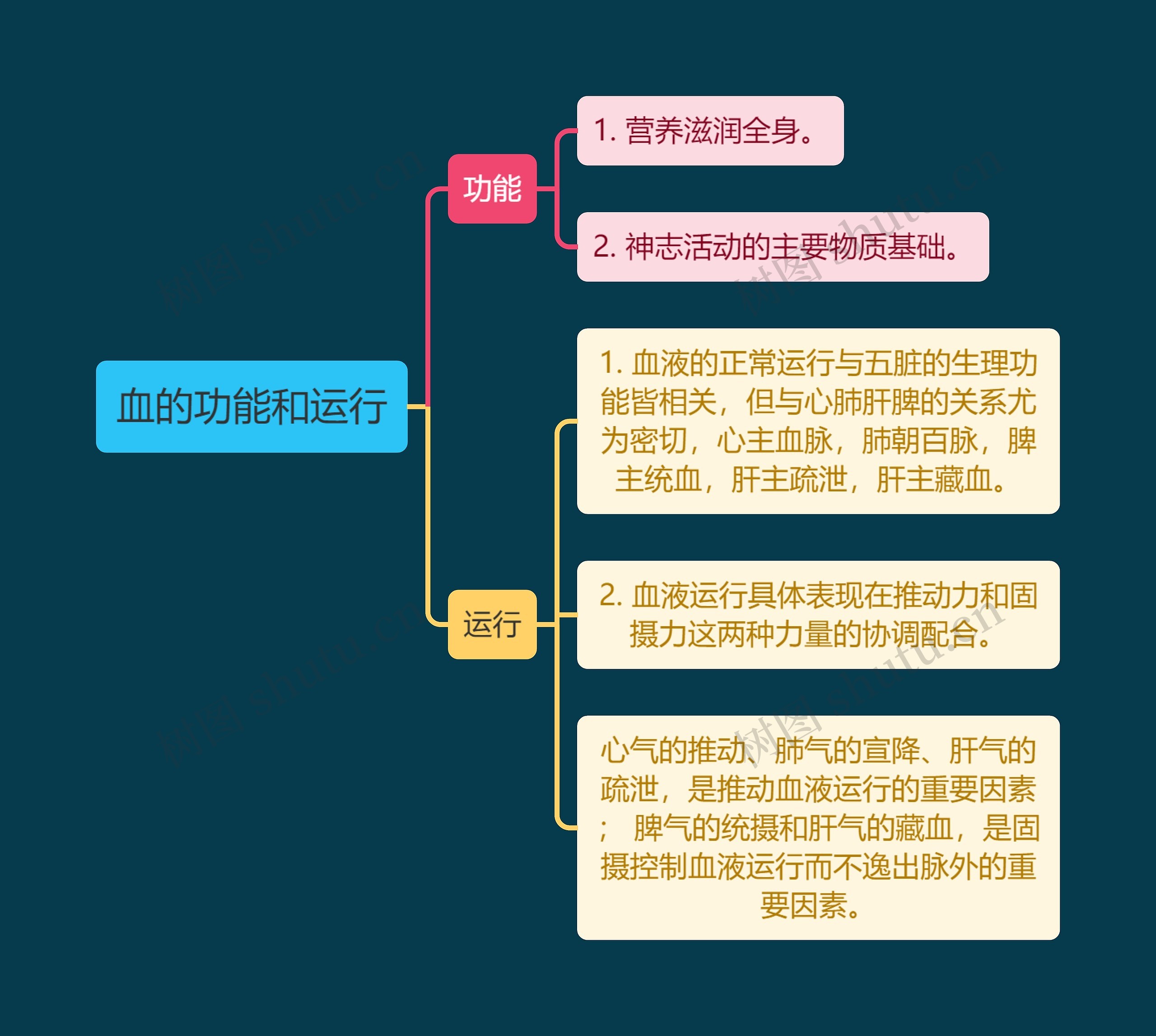 中医知识血的功能和运行思维导图