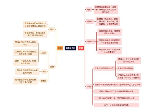 医学知识咀嚼和吞咽思维导图