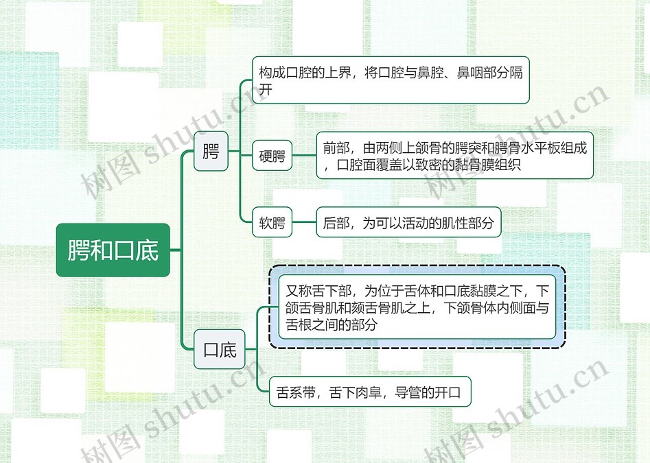 医学知识腭和口底思维导图_编号t6785286-TreeMind树图