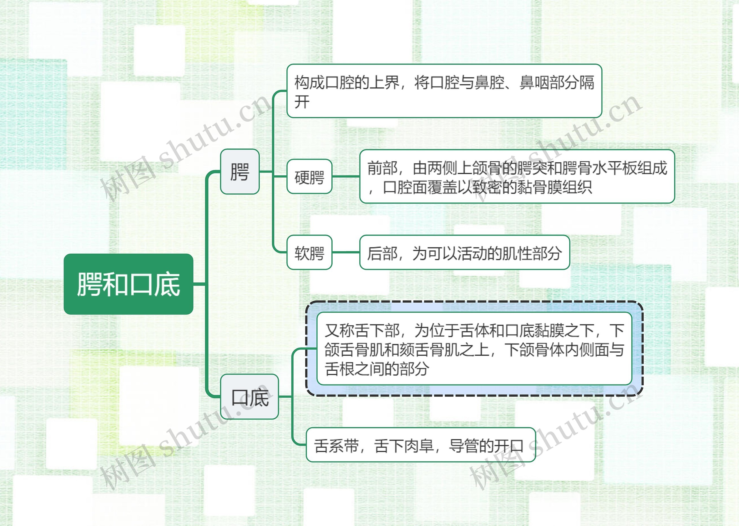 医学知识腭和口底思维导图