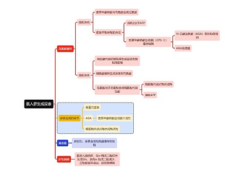 医学知识氨入肝生成尿素思维导图