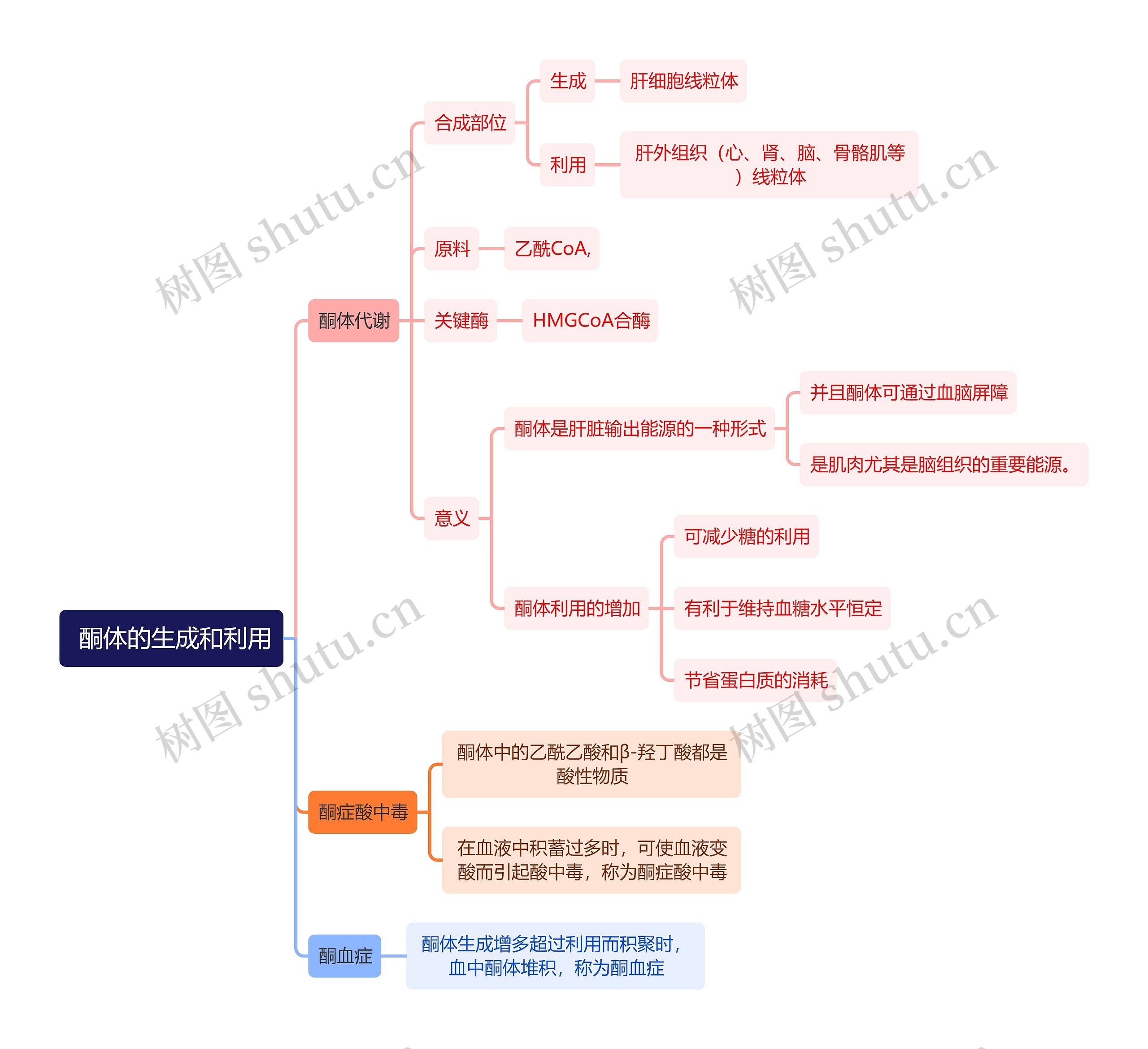 生化知识酮体的生成和利用思维导图高清图 生化知识酮体的生成和利用思维导图