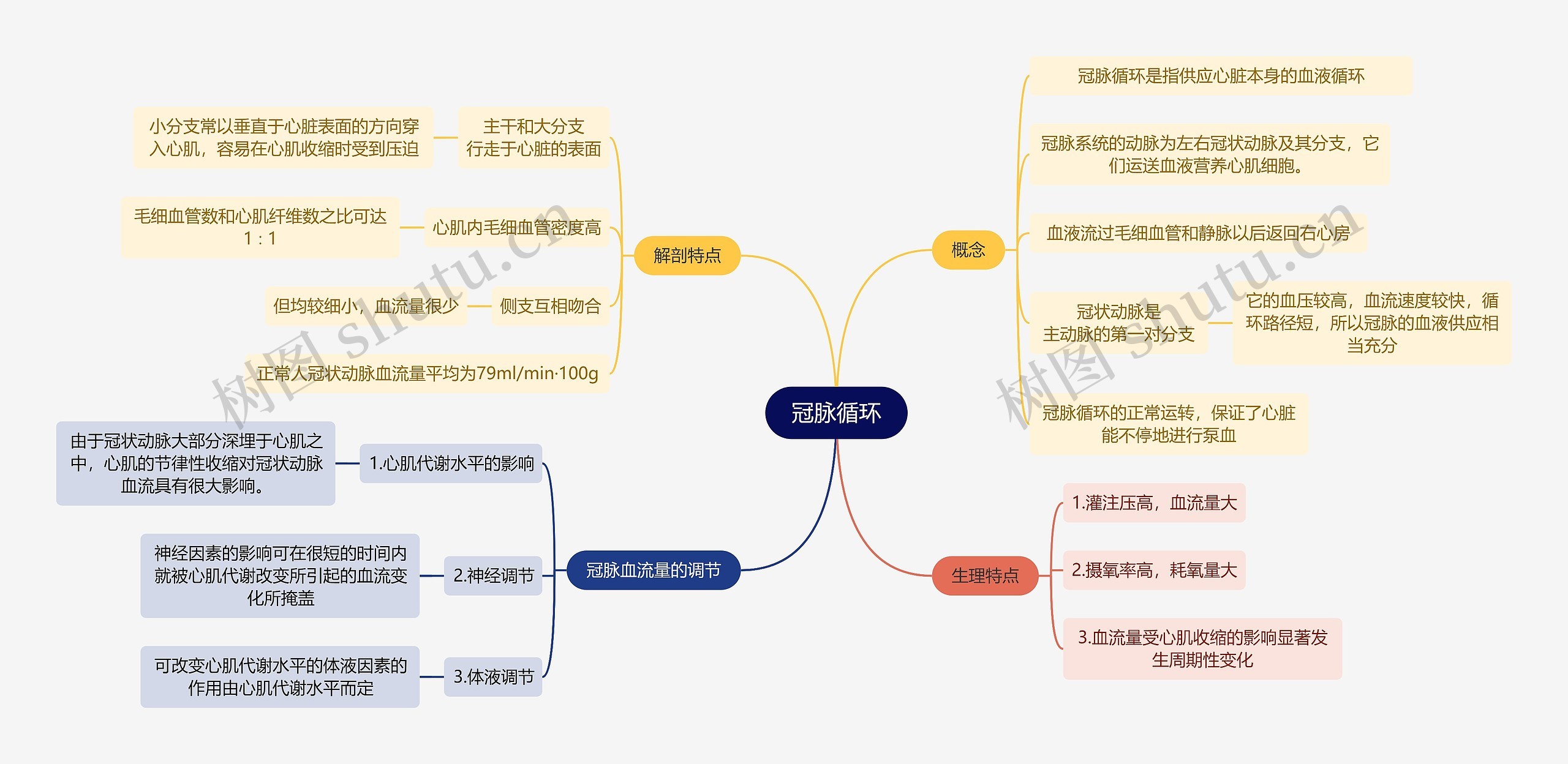 医学知识冠脉循环思维导图