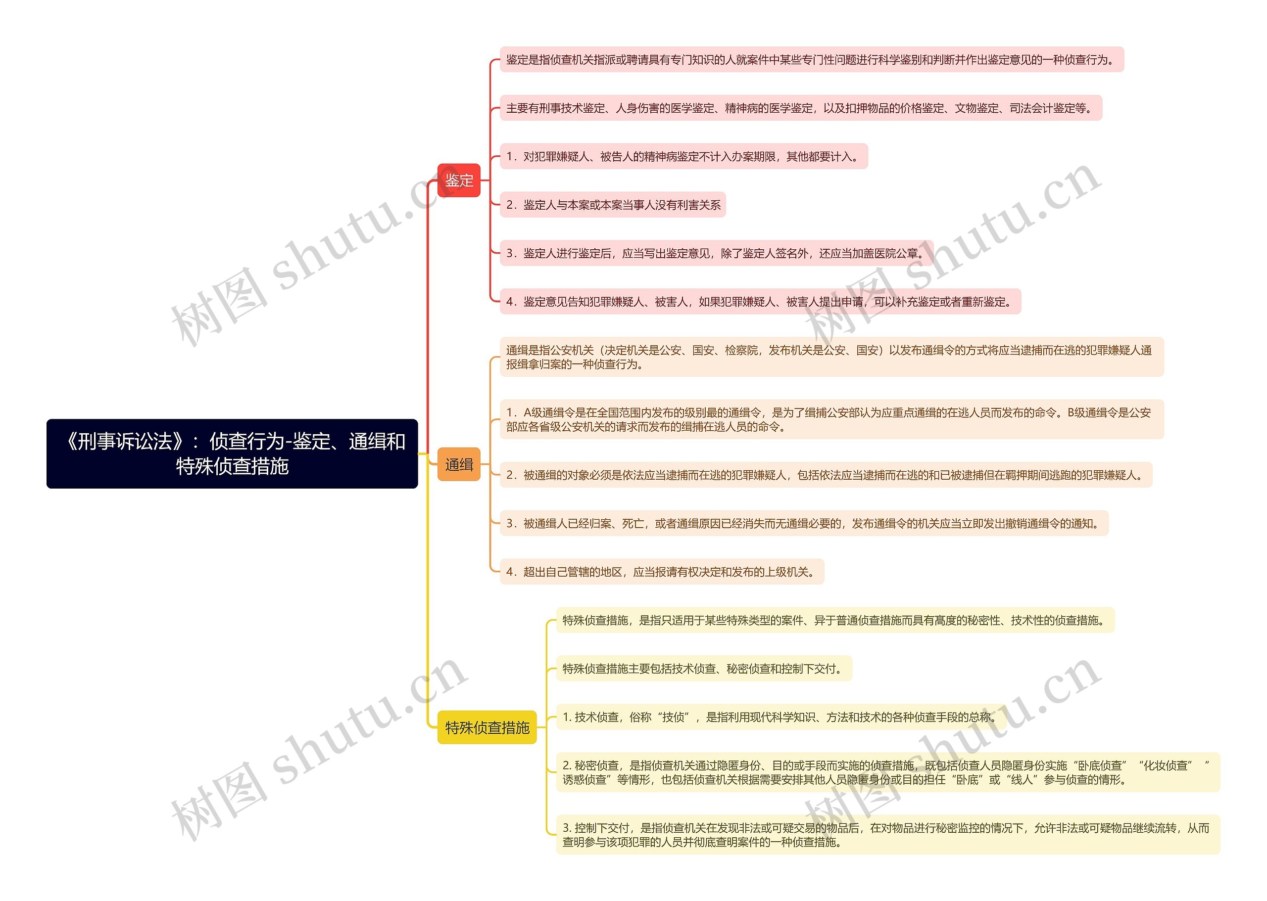 《刑事诉讼法》:侦查行为-鉴定、通缉和特殊侦查措施思维导图_编号t6313931-TreeMind树图