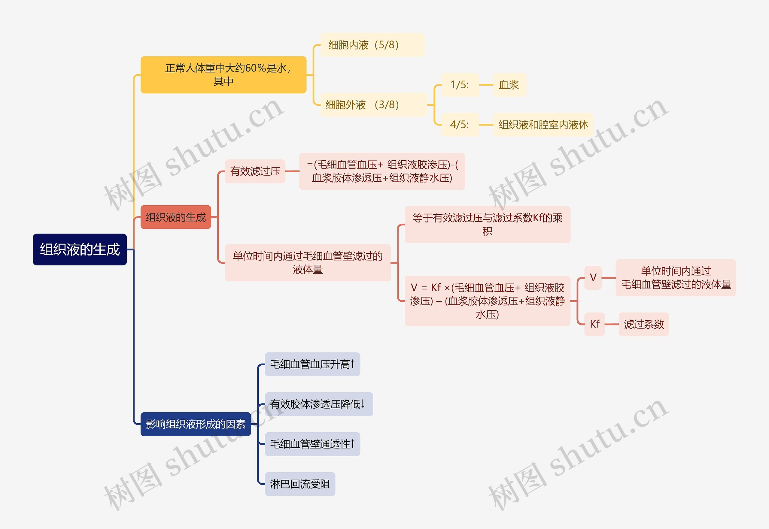 医学知识组织液的生成思维导图