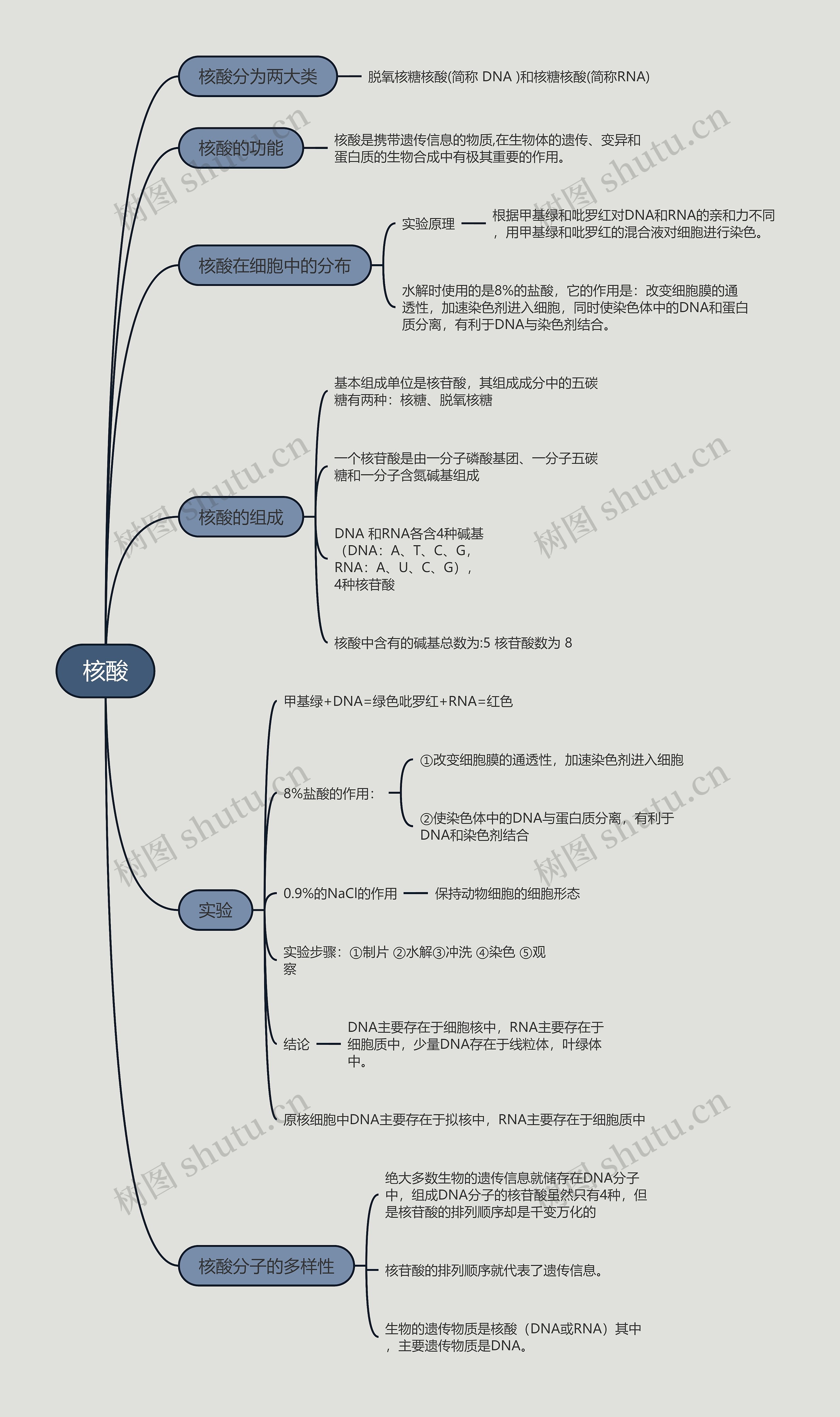 核酸的思维导图