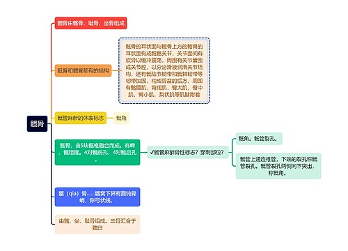 医学知识髋骨的结构和组成思维导图