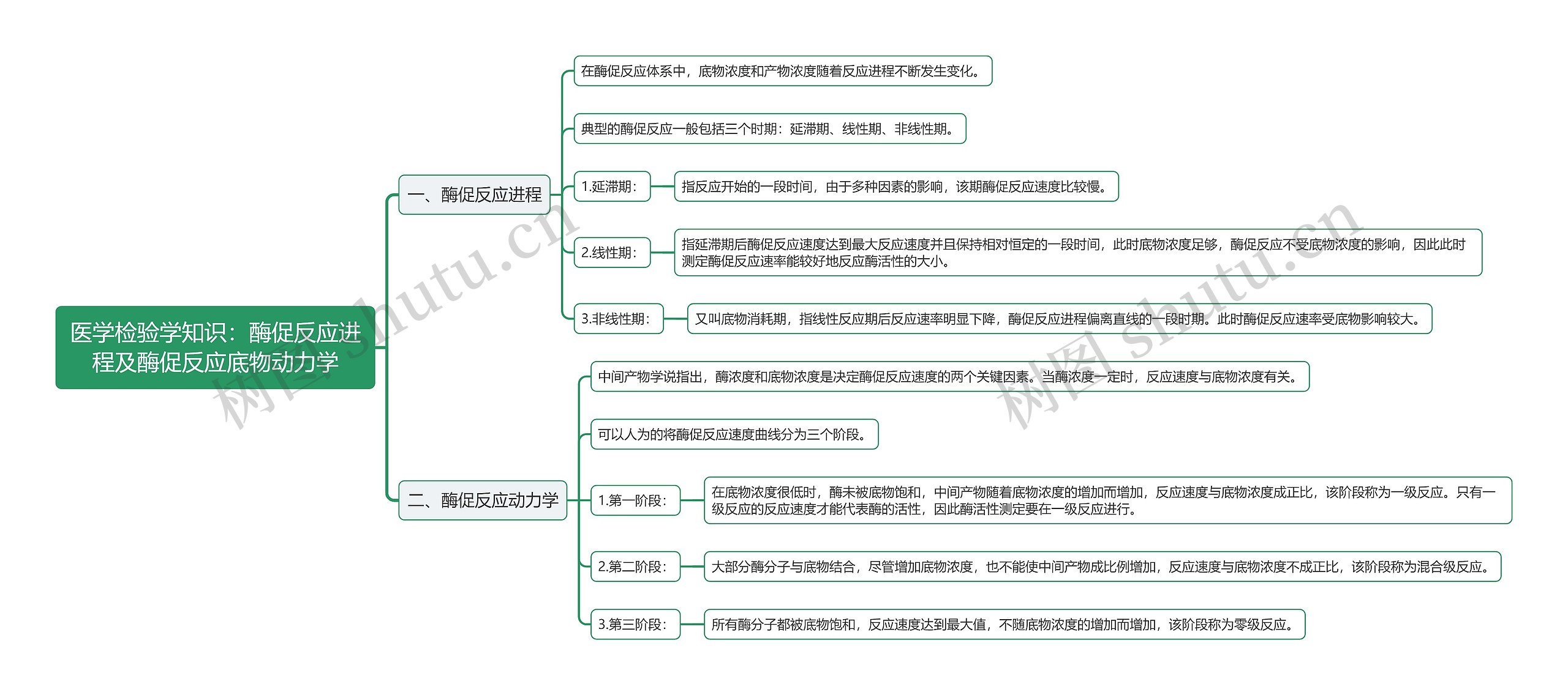 医学检验学知识：酶促反应进程及酶促反应底物动力学思维导图