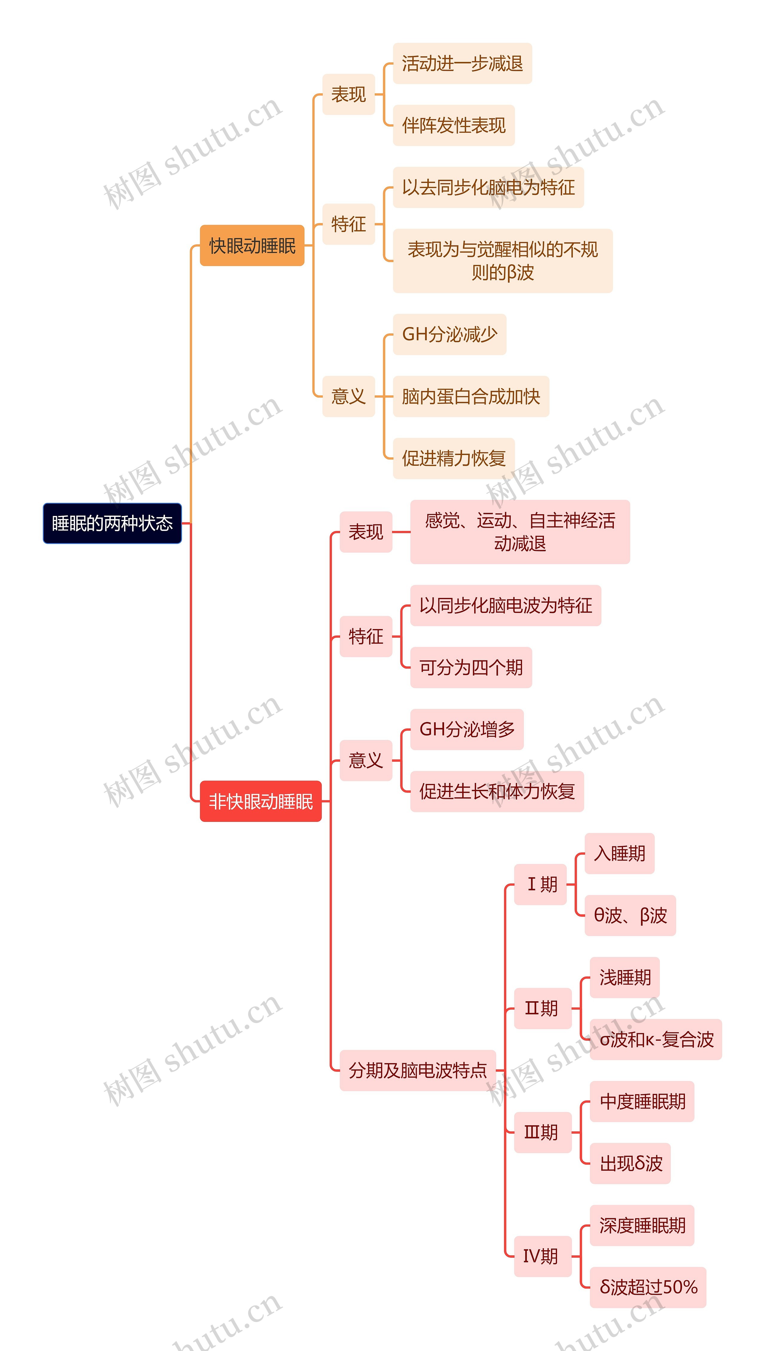 医学知识睡眠的两种状态思维导图