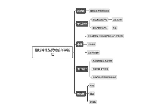 医学腹腔神经丛反射解剖学基础思维导图