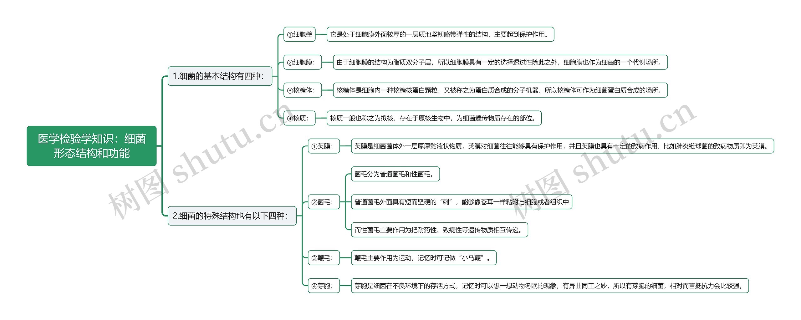 医学检验学知识：细菌形态结构和功能思维导图