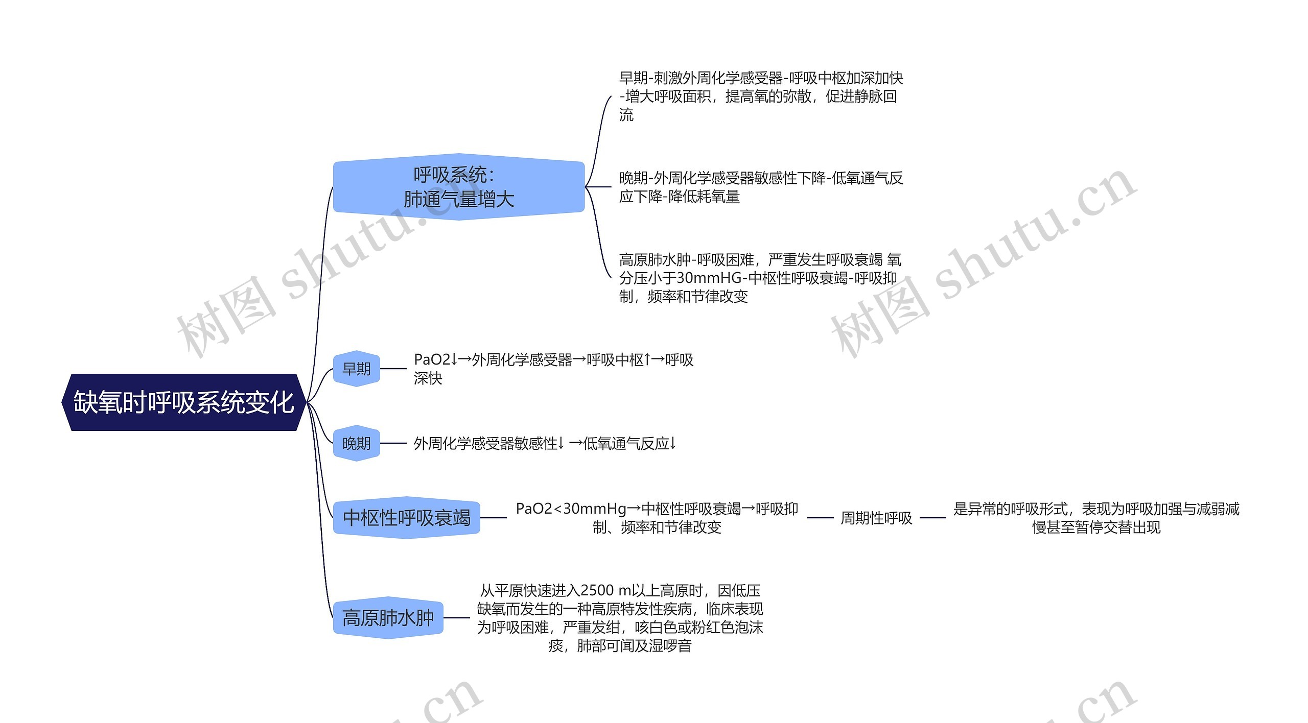 医学知识缺氧时呼吸系统变化思维导图