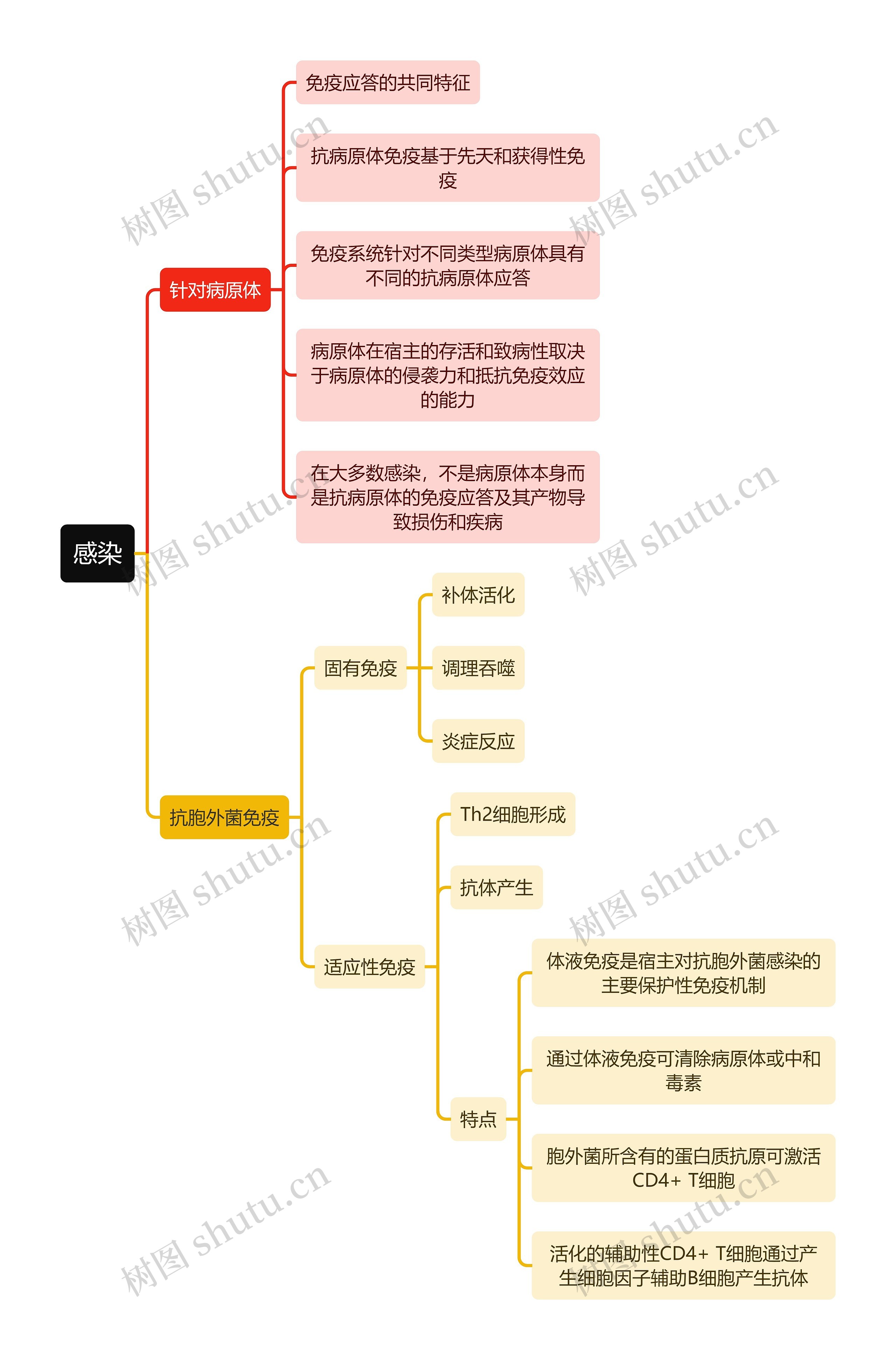 医学知识感染思维导图