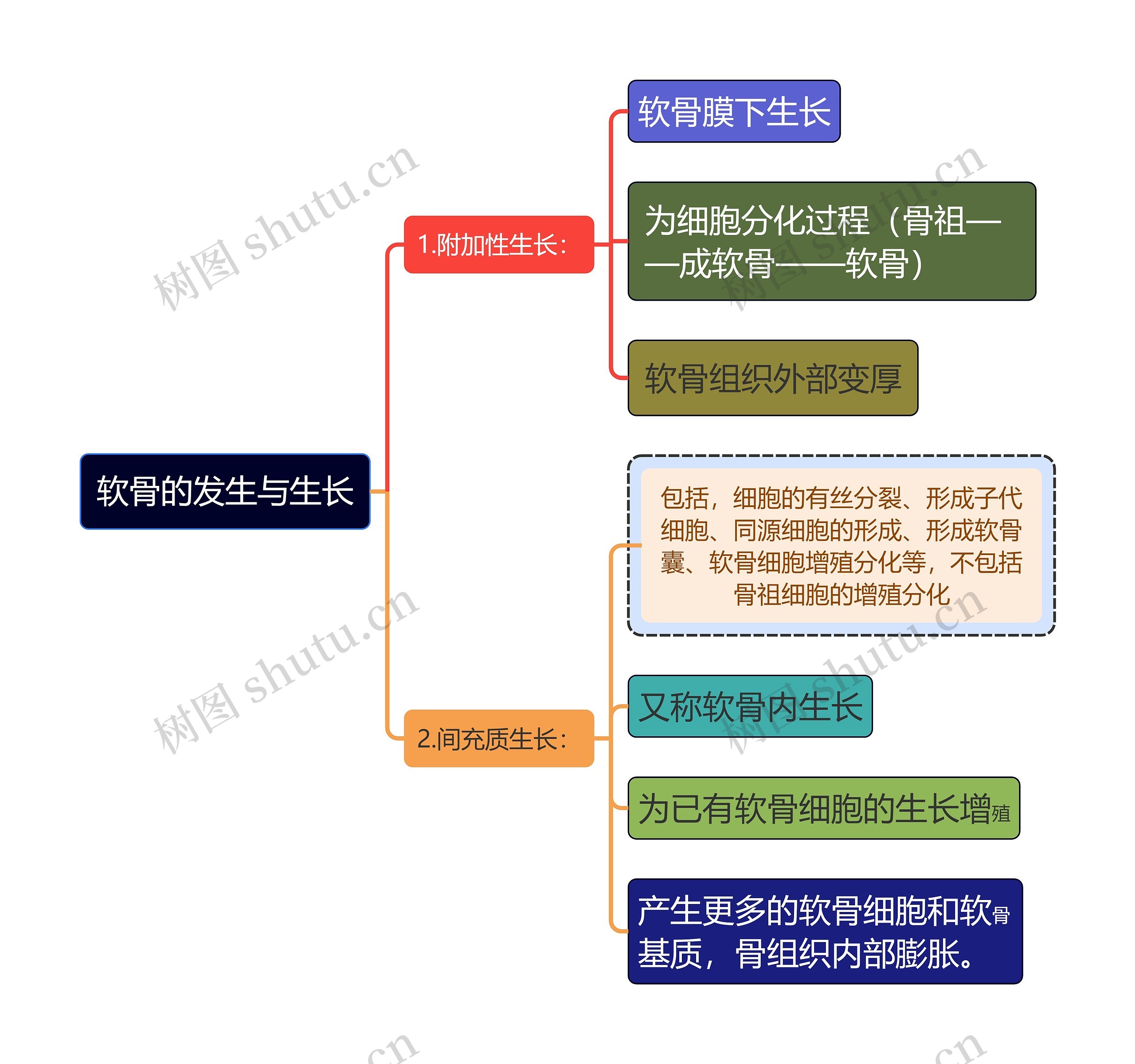 医学知识软骨的发生与生长思维导图