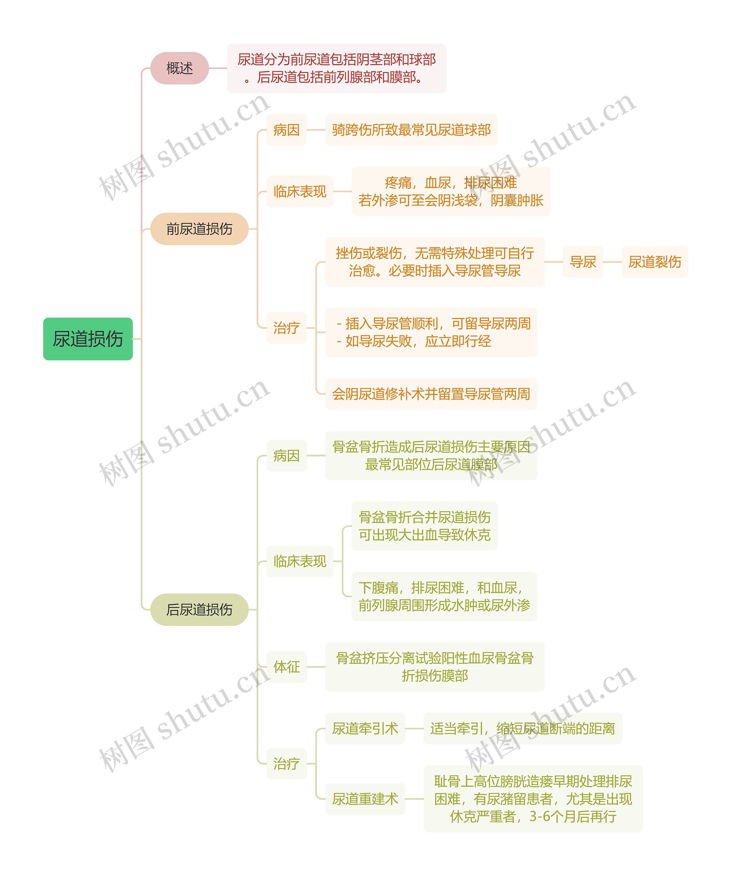 内科学知识尿道损伤思维导图高清图 内科学知识尿道损伤思维导图