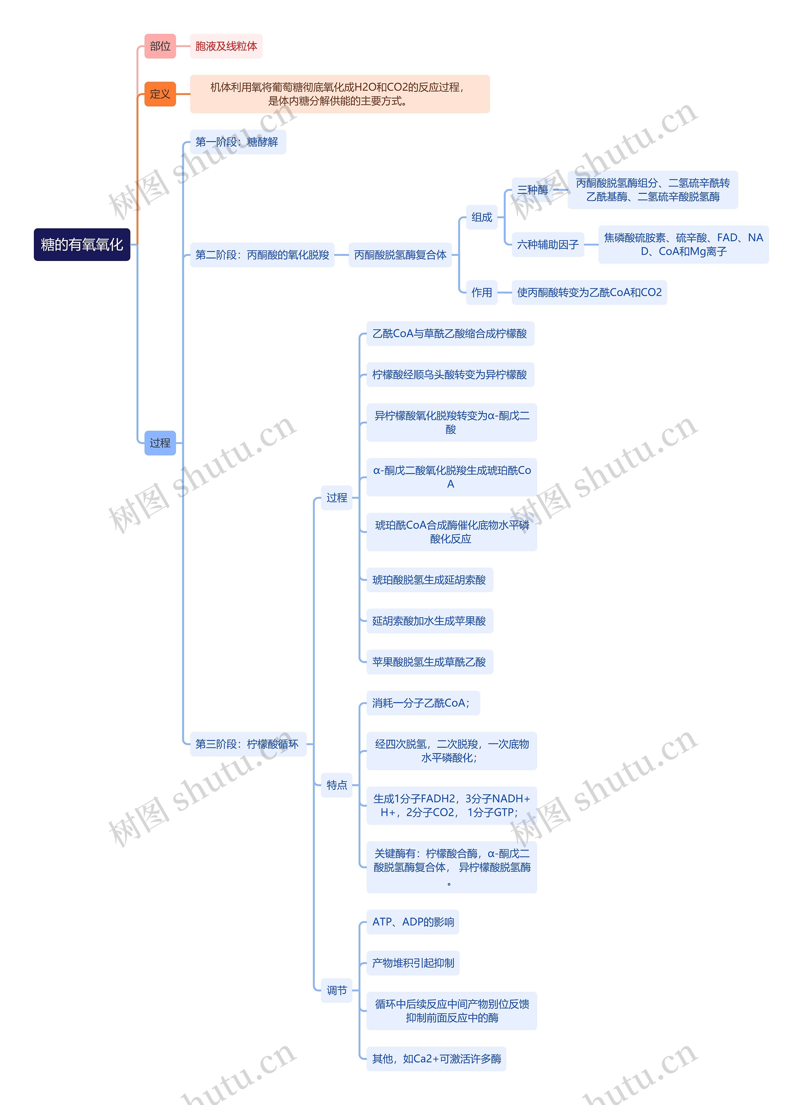 生化知识糖的有氧氧化思维导图