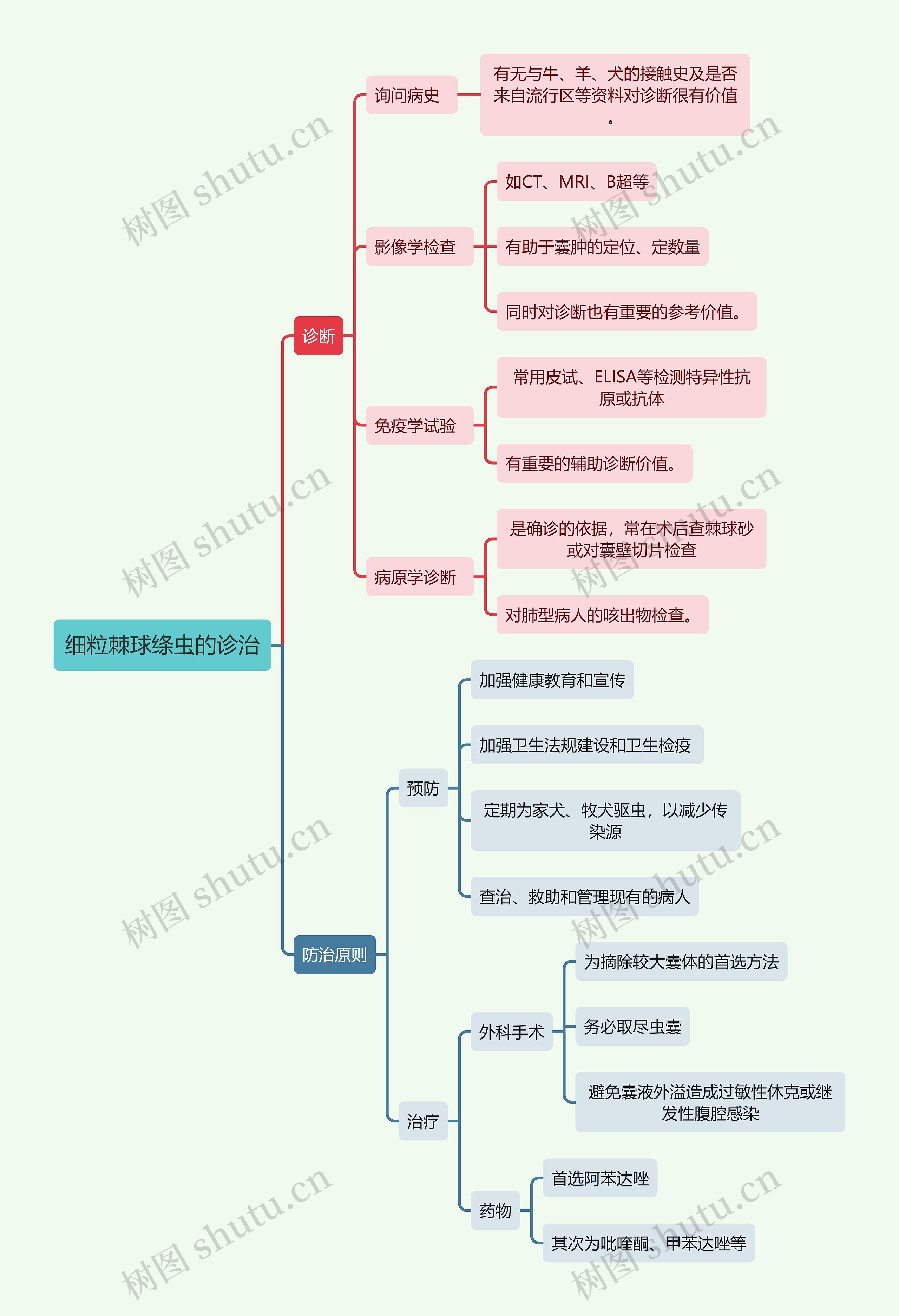 医学知识细粒棘球绦虫的诊治思维导图