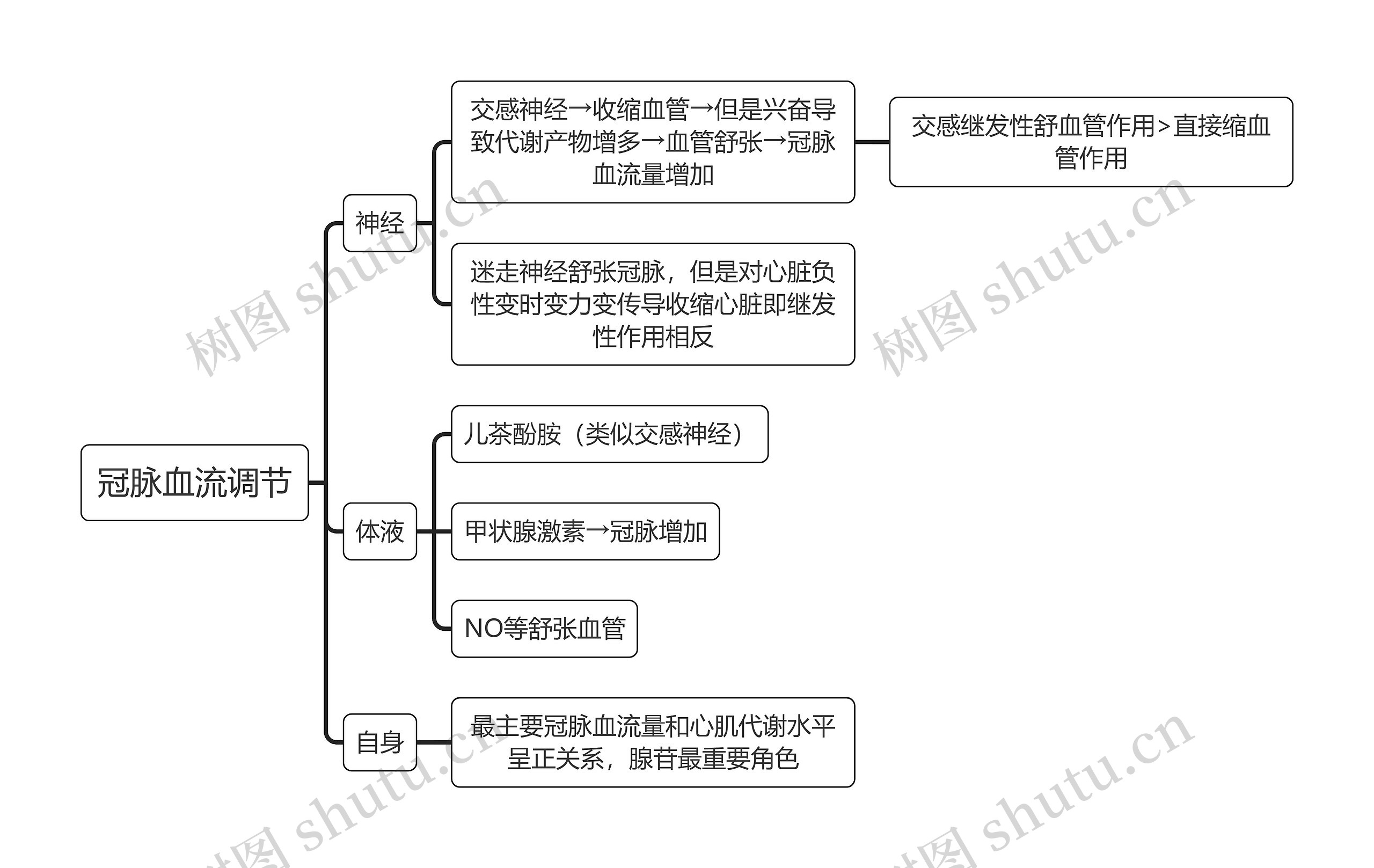 医学知识冠脉血流调节思维导图