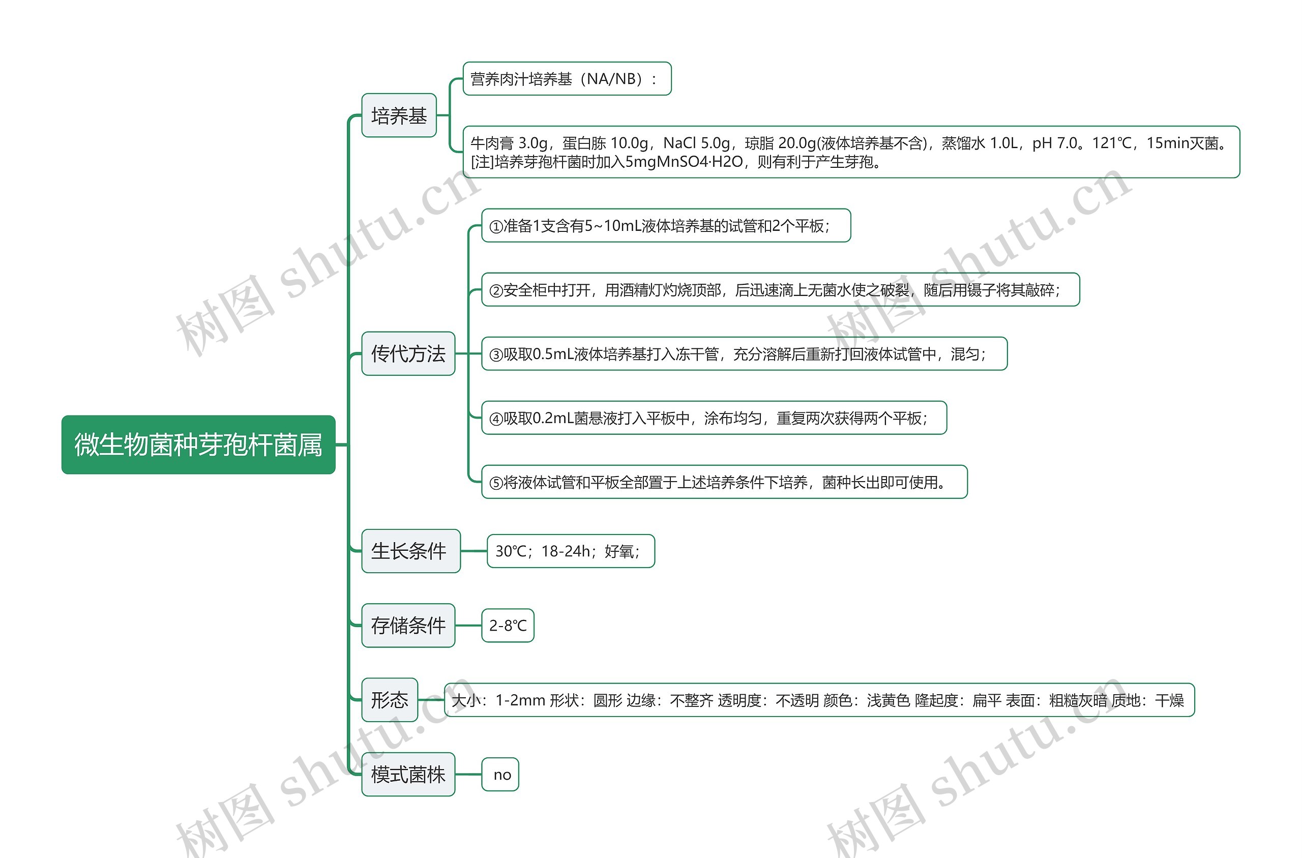 微生物菌种芽孢杆菌属思维导图