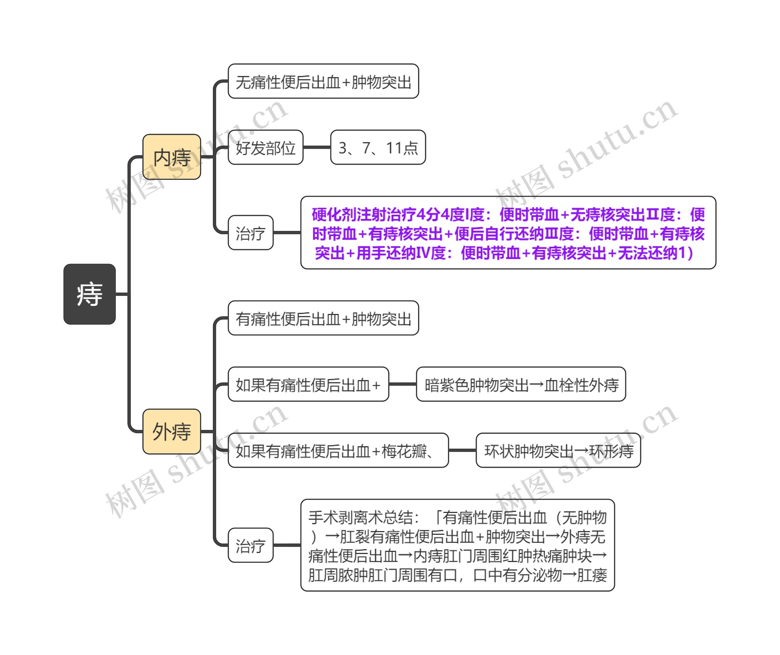医学知识痔-思维导图
