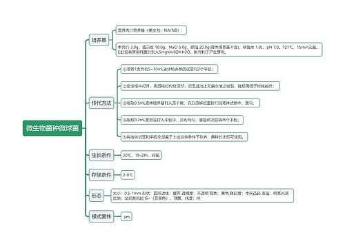 微生物菌种微球菌思维导图