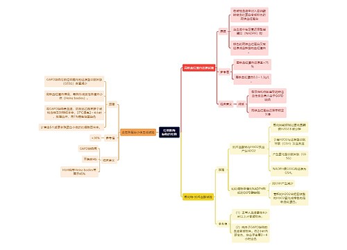 医学知识红细胞酶缺陷的检测思维导图