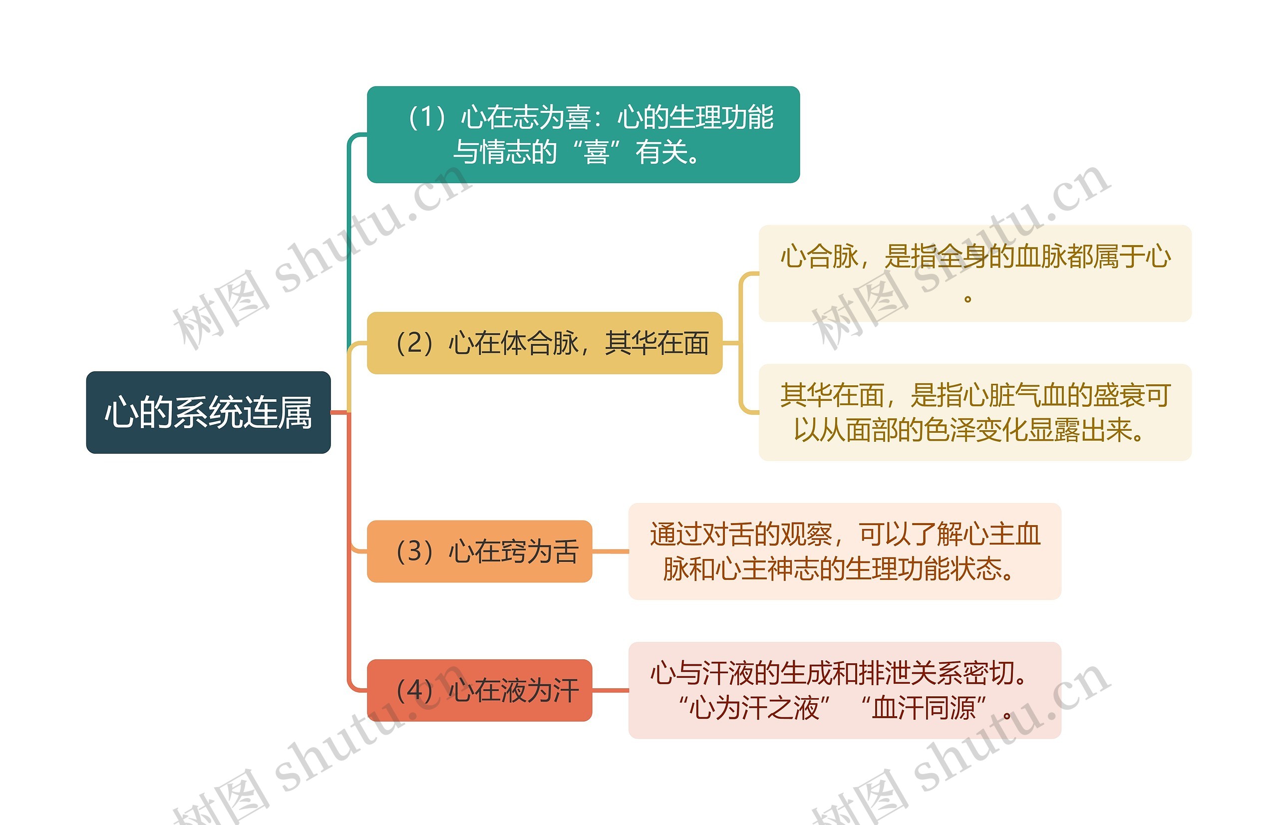 中医知识心的系统连属思维导图