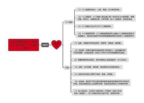 《人体系统解剖学三（肌学六）消化系统、十二指肠、大肠》思维导图