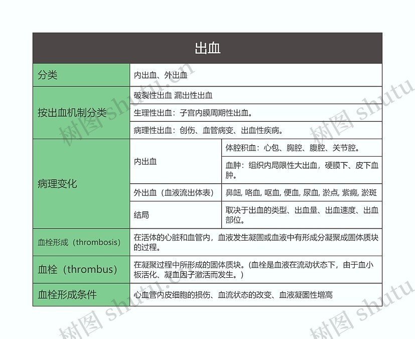 病理学 出血思维导图_编号t6975223-TreeMind树图