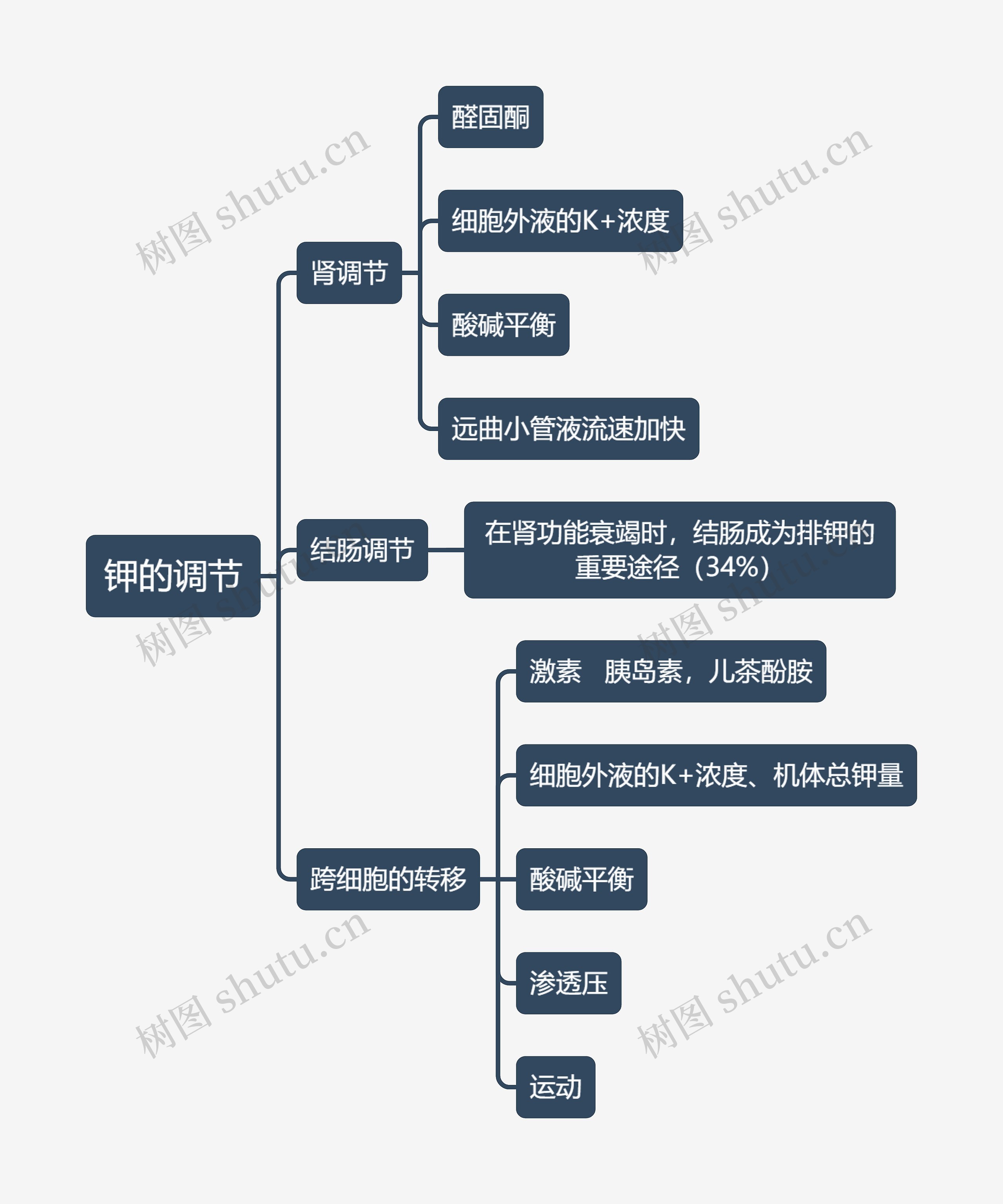 医学知识钾的调节思维导图