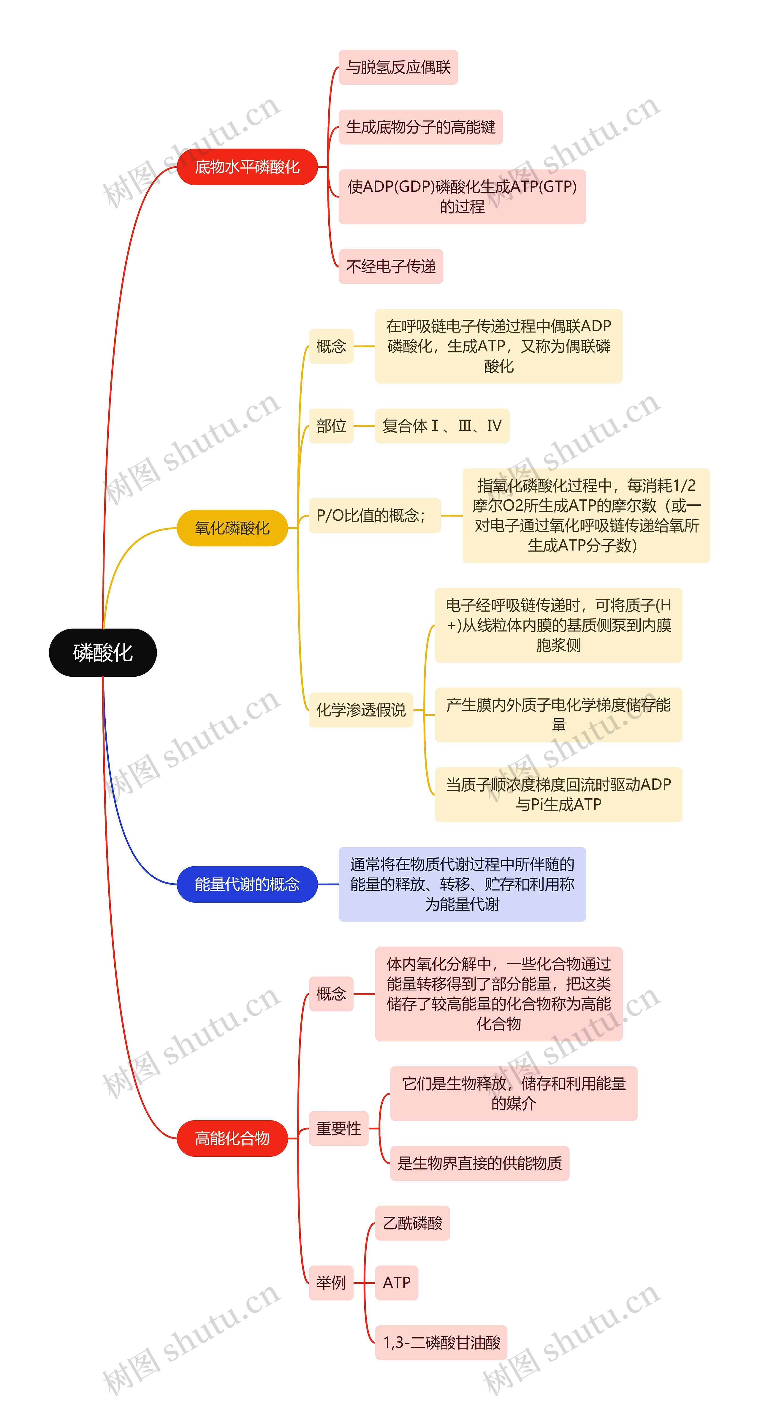 生化知识磷酸化思维导图