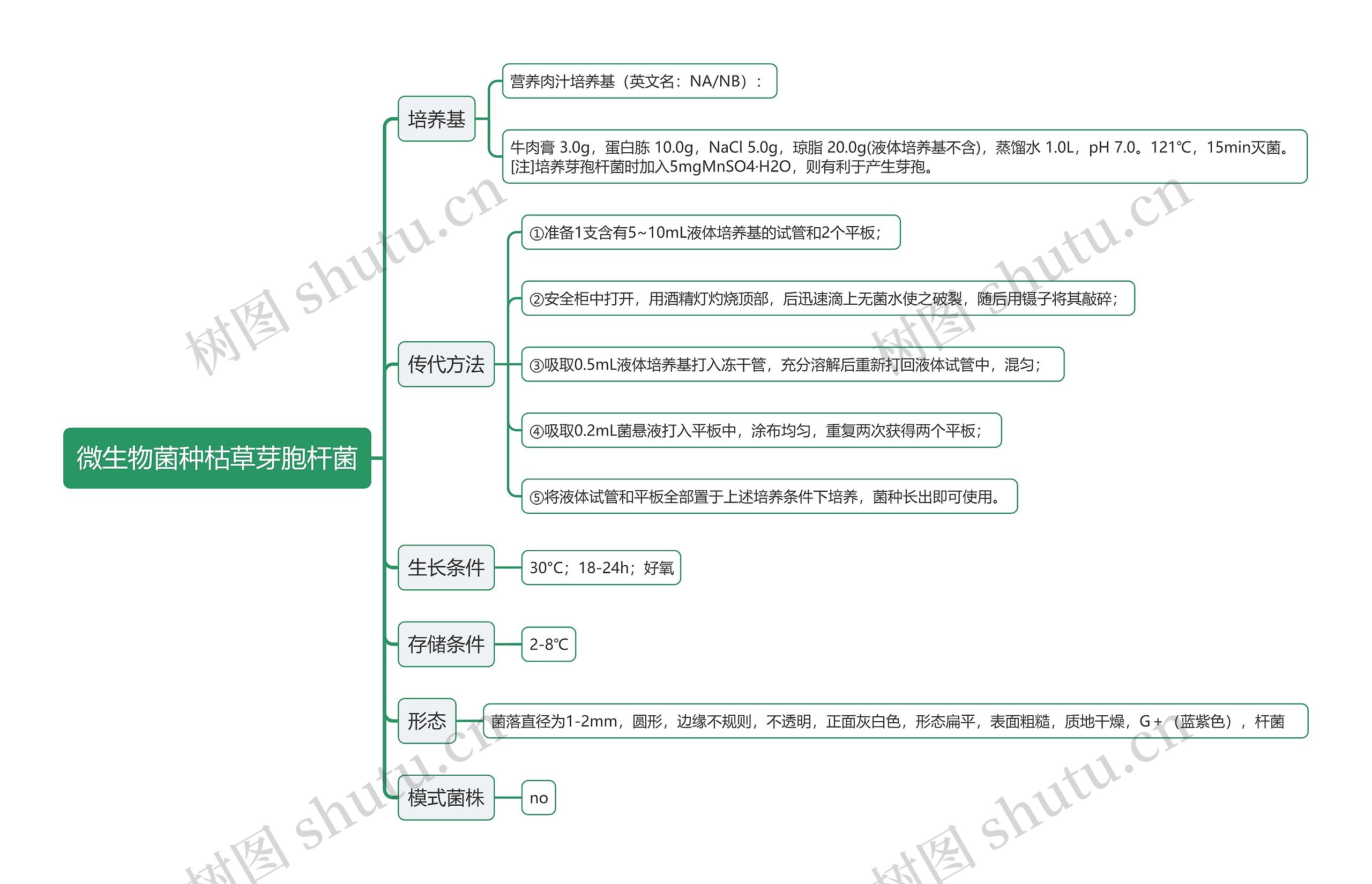微生物菌种枯草芽胞杆菌思维导图