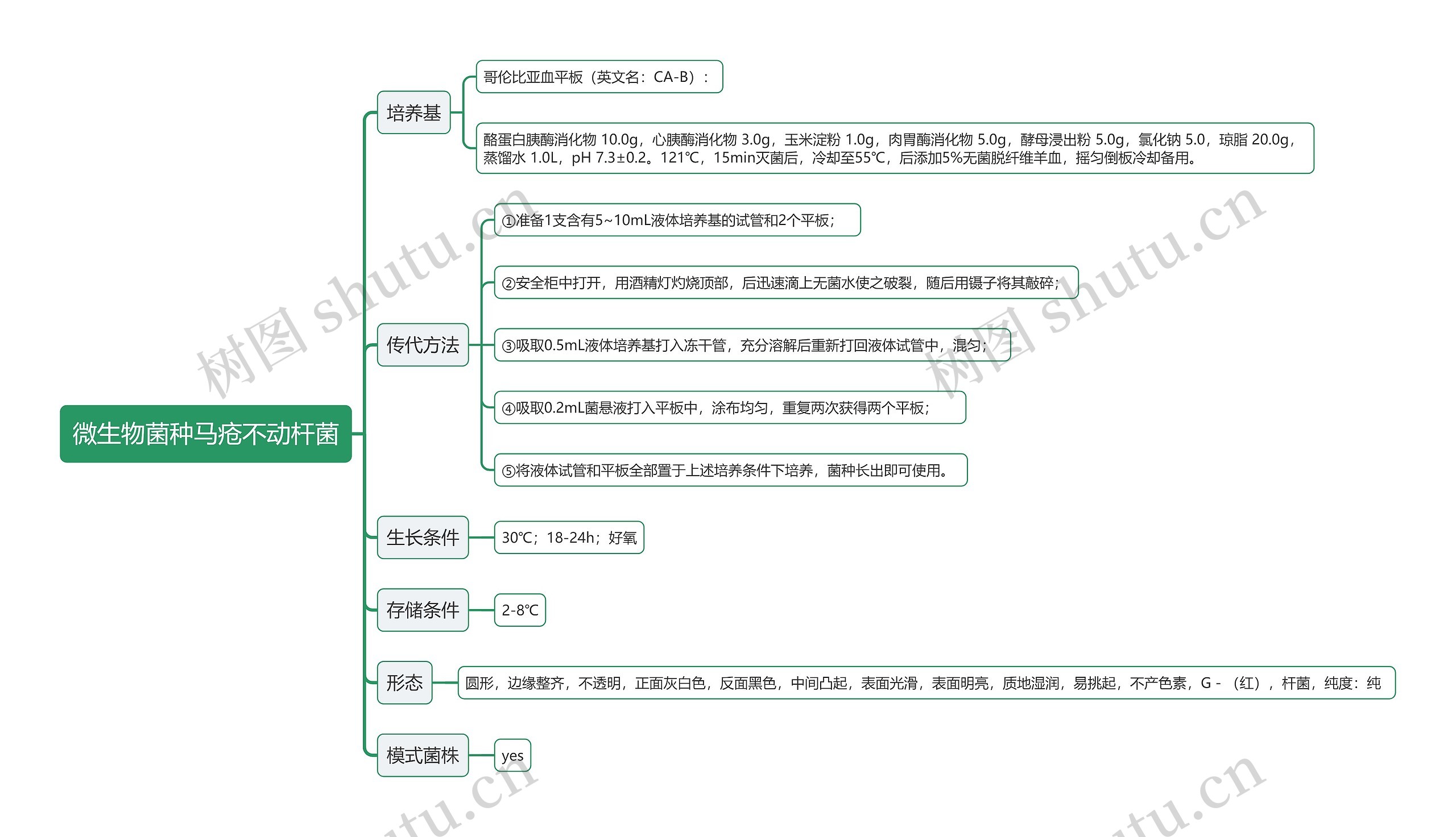 微生物菌种马疮不动杆菌思维导图