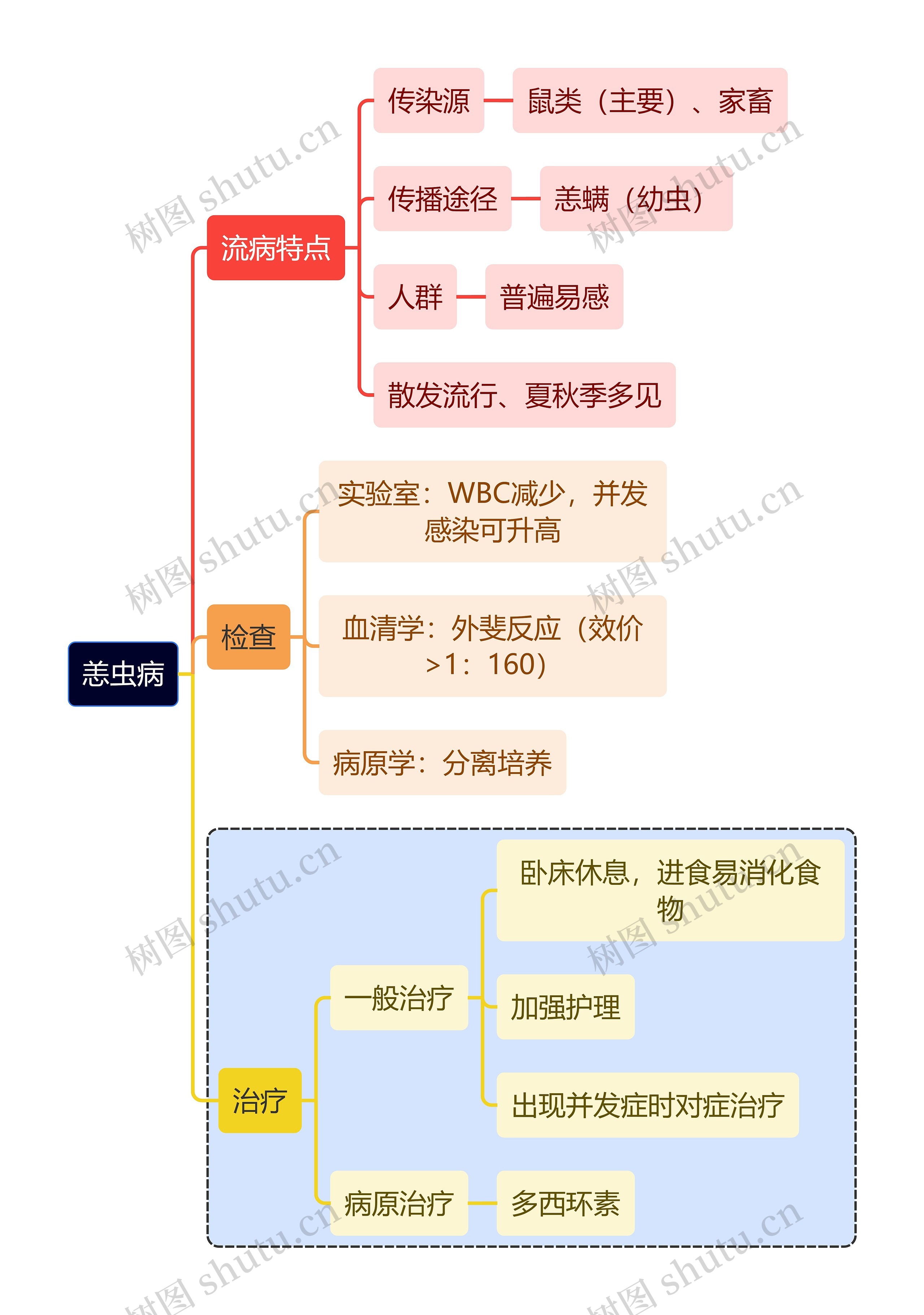 医学知识恙虫病治疗思维导图