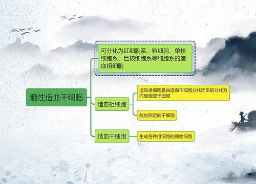 医学知识髓性造血干细胞思维导图