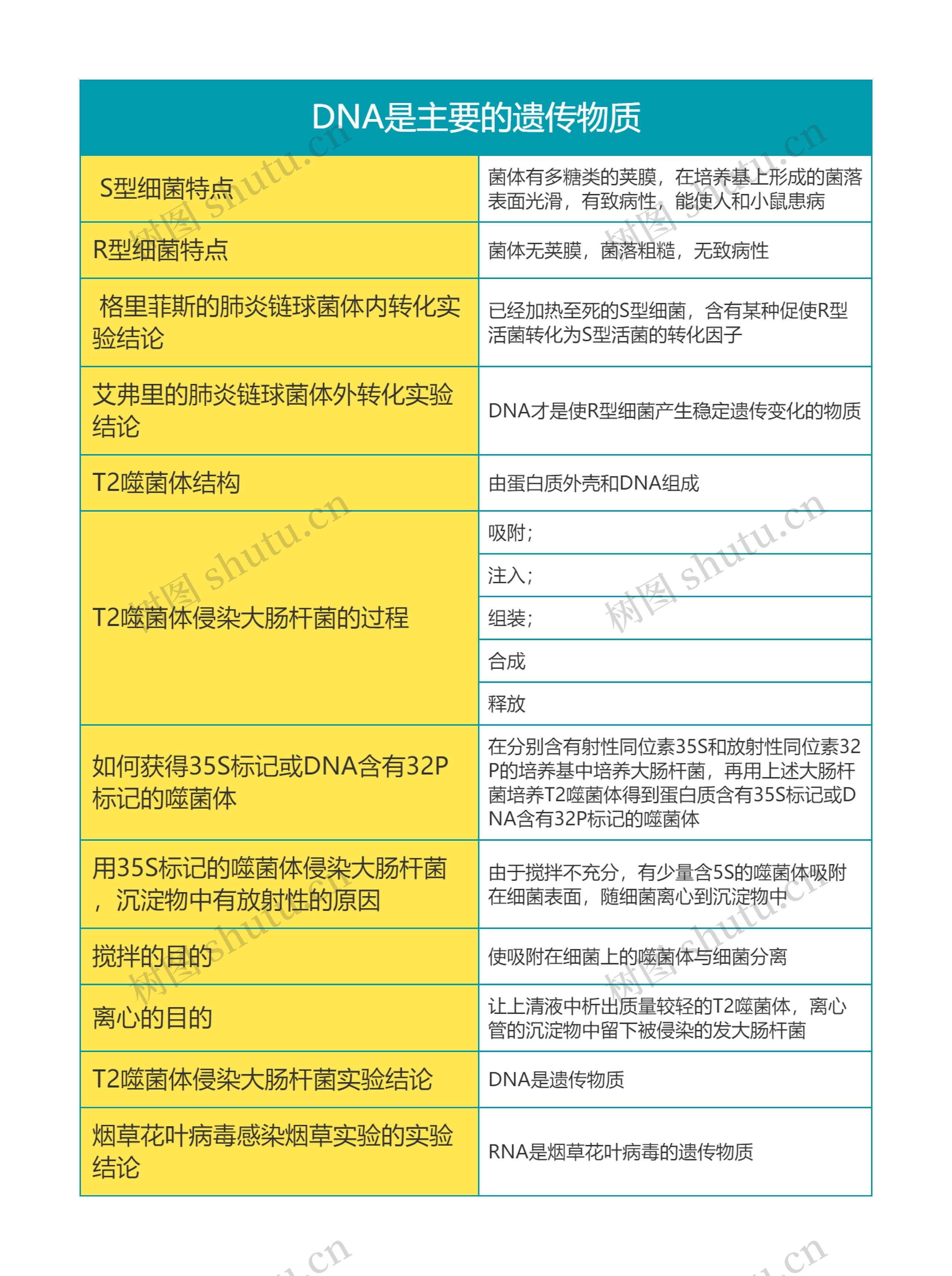 高中生物必修二第三单元DNA是主要的遗传物质思维导图