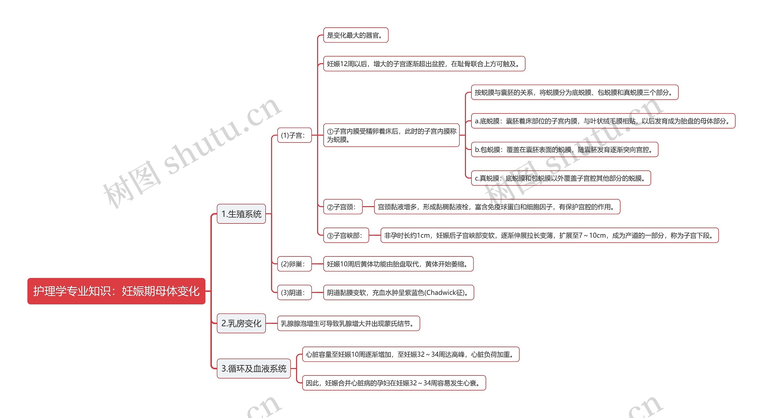 护理学专业知识：妊娠期母体变化思维导图