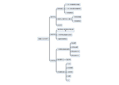 医学知识肾素分泌的调节思维导图