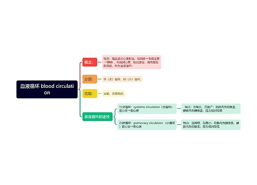 血液循环 blood circulation思维导图