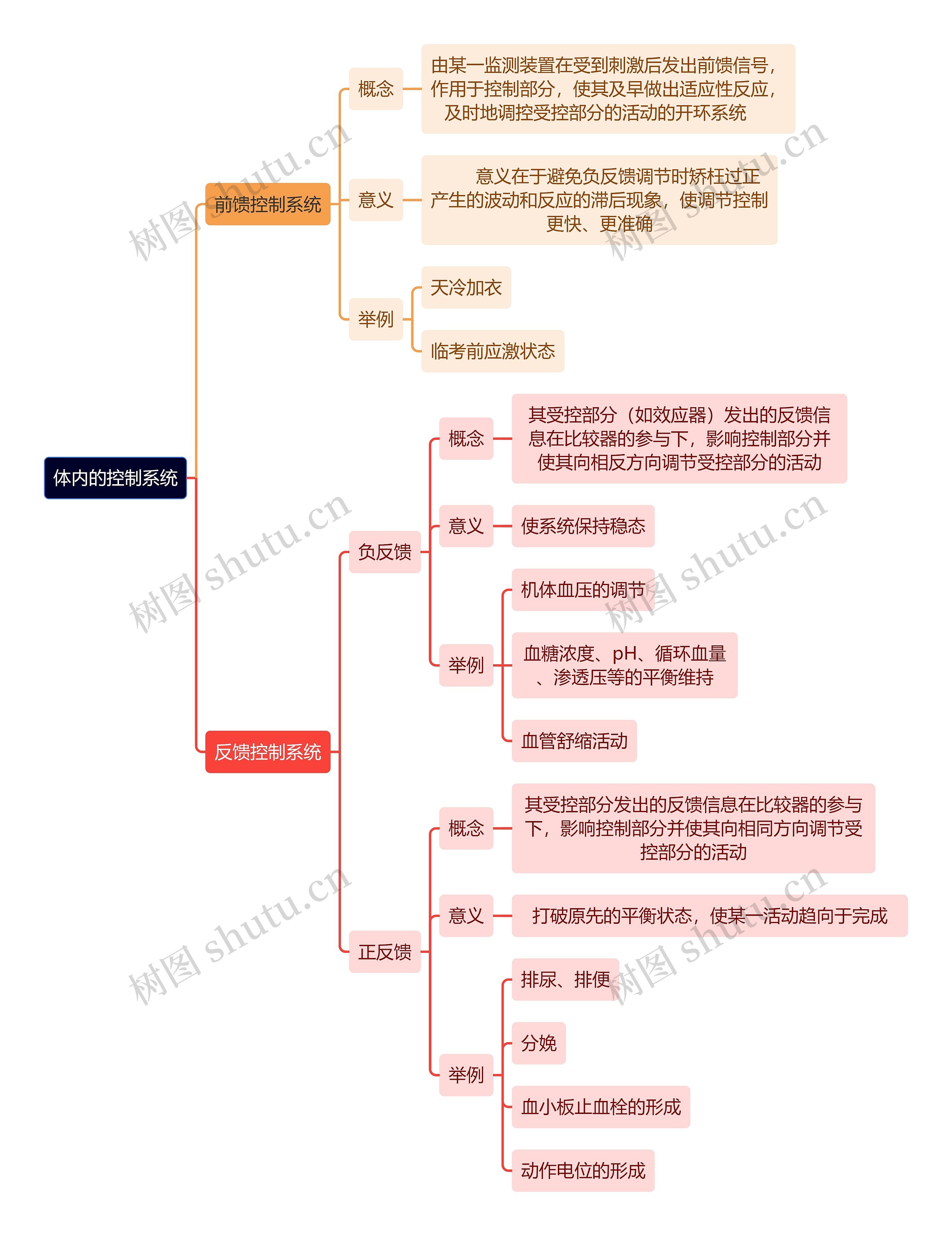 医学知识体内的控制系统思维导图