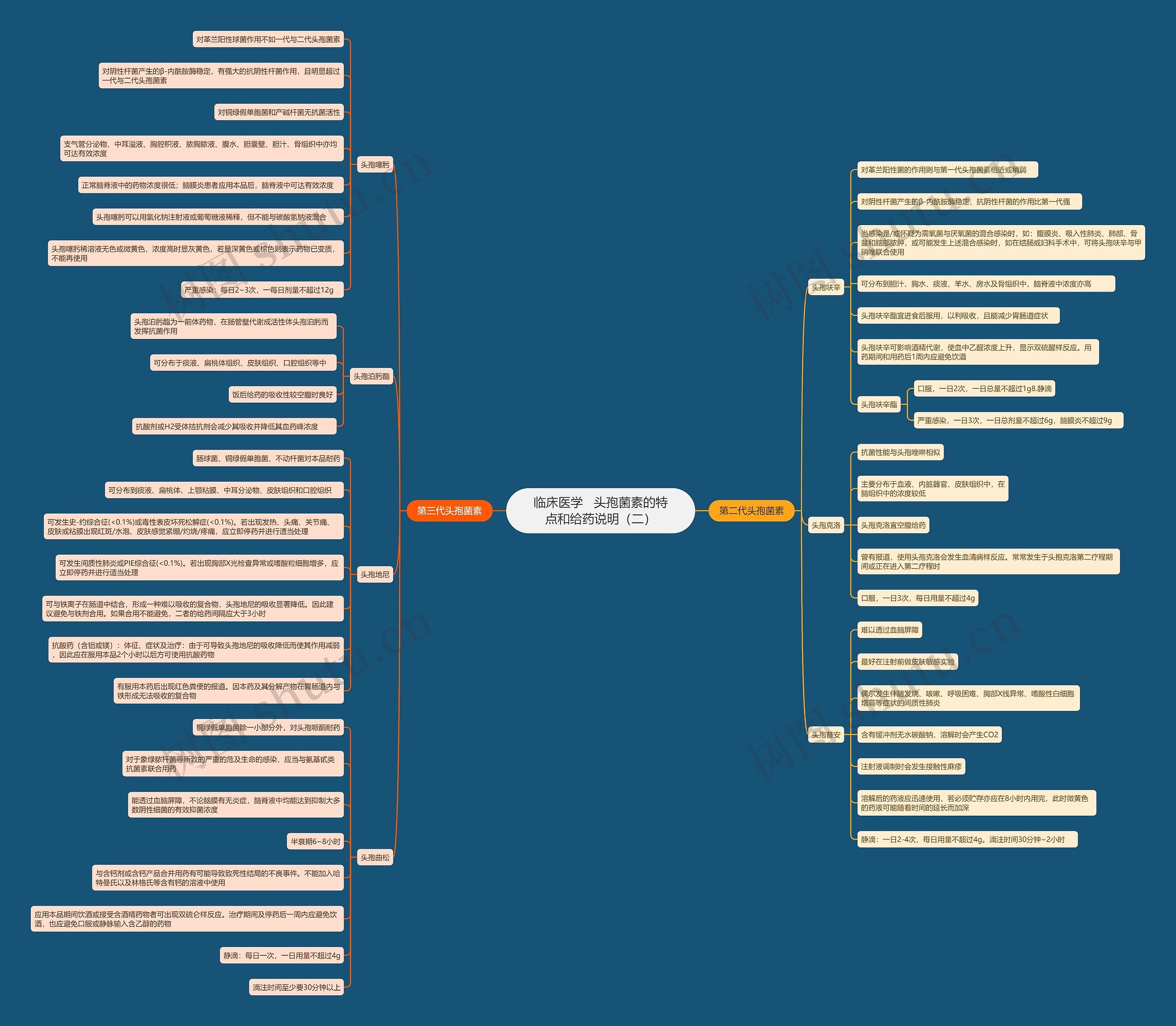 临床医学   头孢菌素的特点和给药说明（二）思维导图