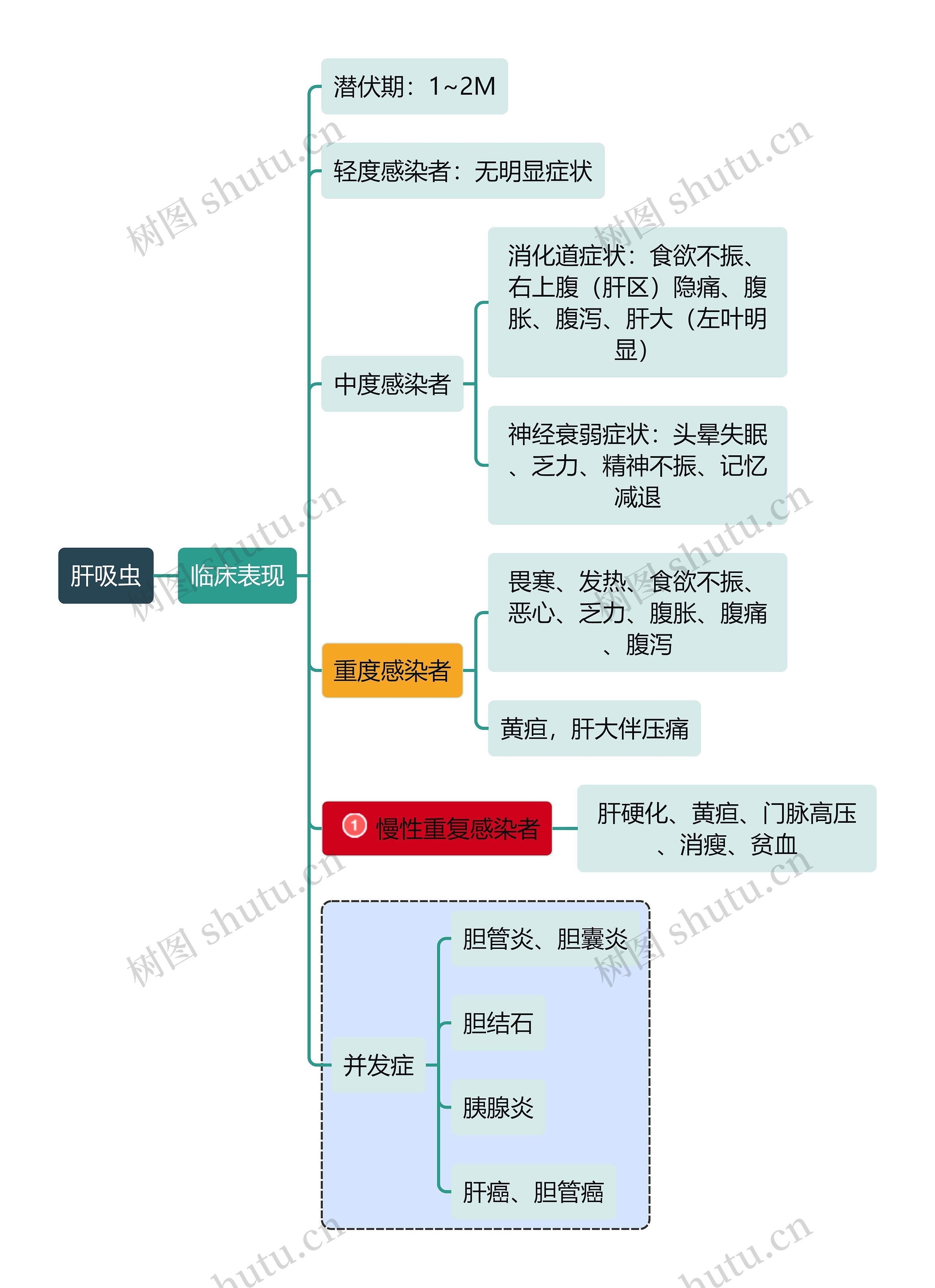 医学知识肝吸虫临床表现思维导图