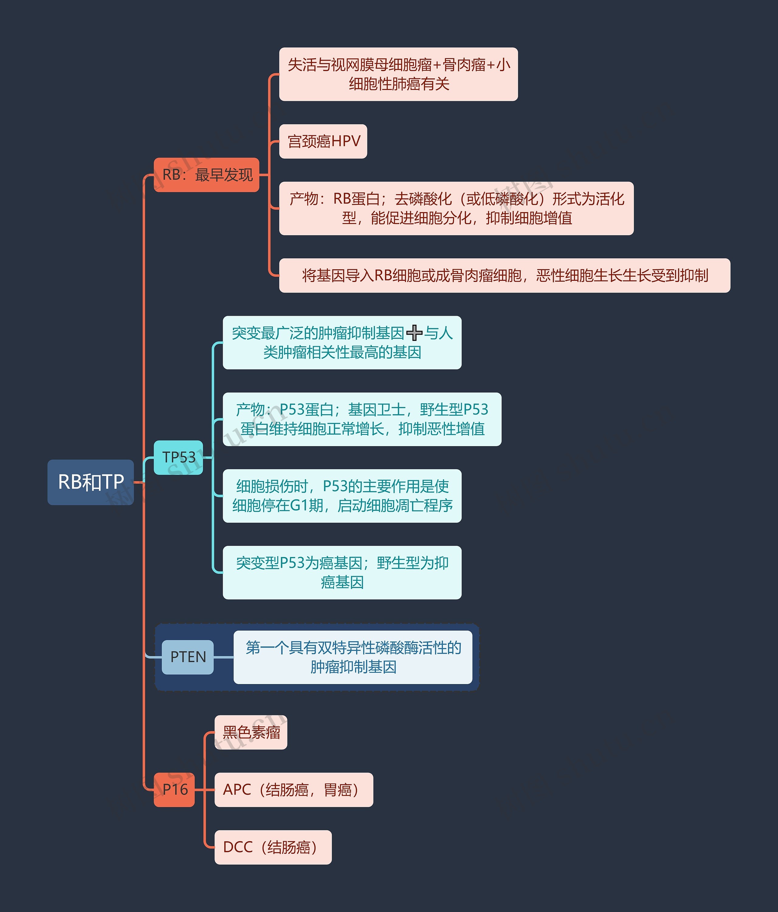 医学知识RB和TP思维导图