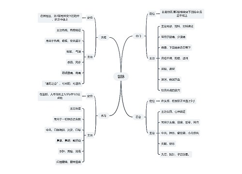 中医知识督脉思维导图