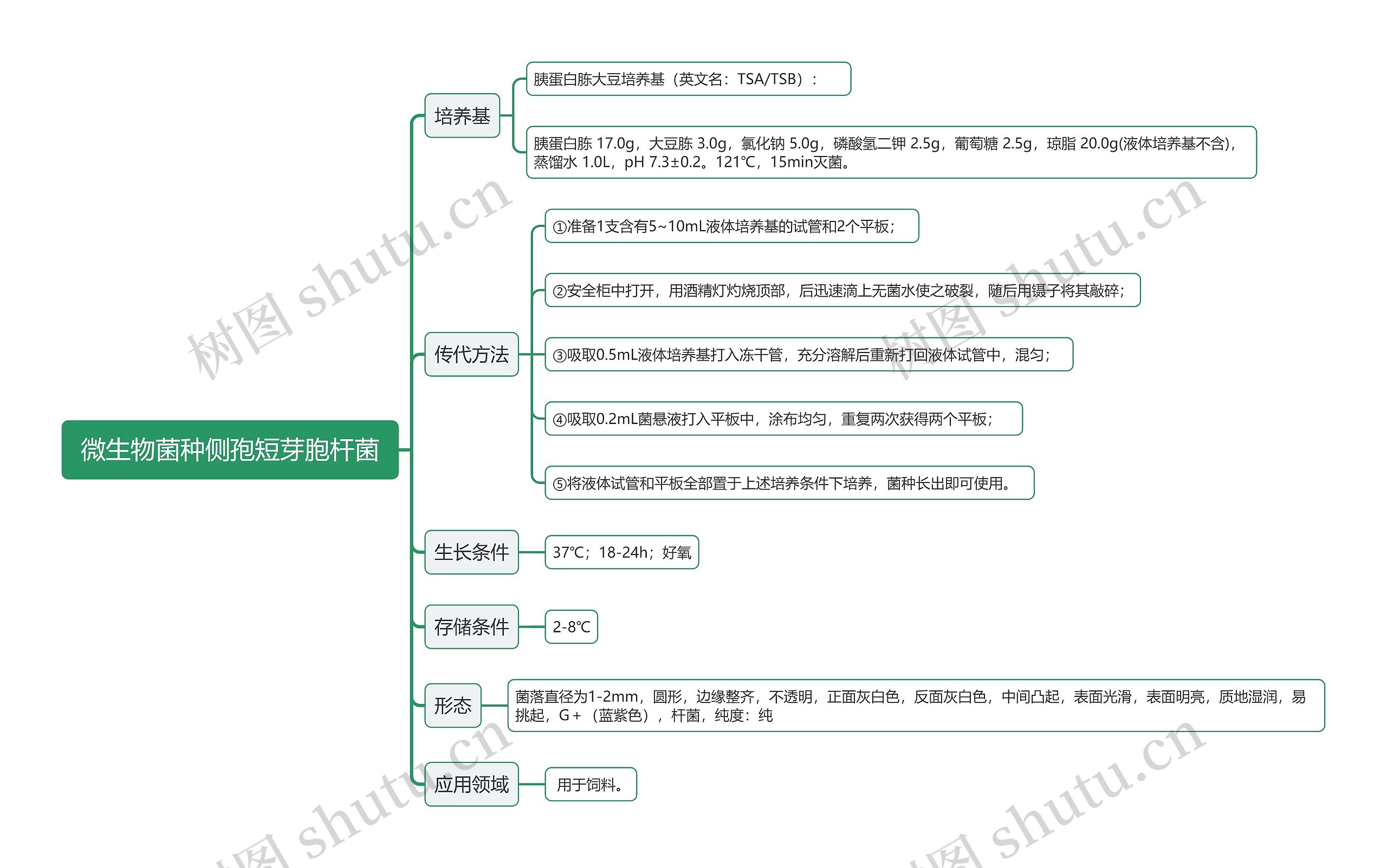 微生物菌种侧孢短芽胞杆菌思维导图